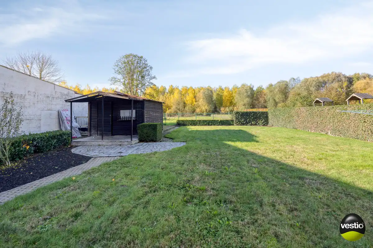 RUSTIG GELEGEN RUIME VRIJSTAANDE WONING MET GROTE TUIN OP 22A49CA TE HOESELT. foto 3