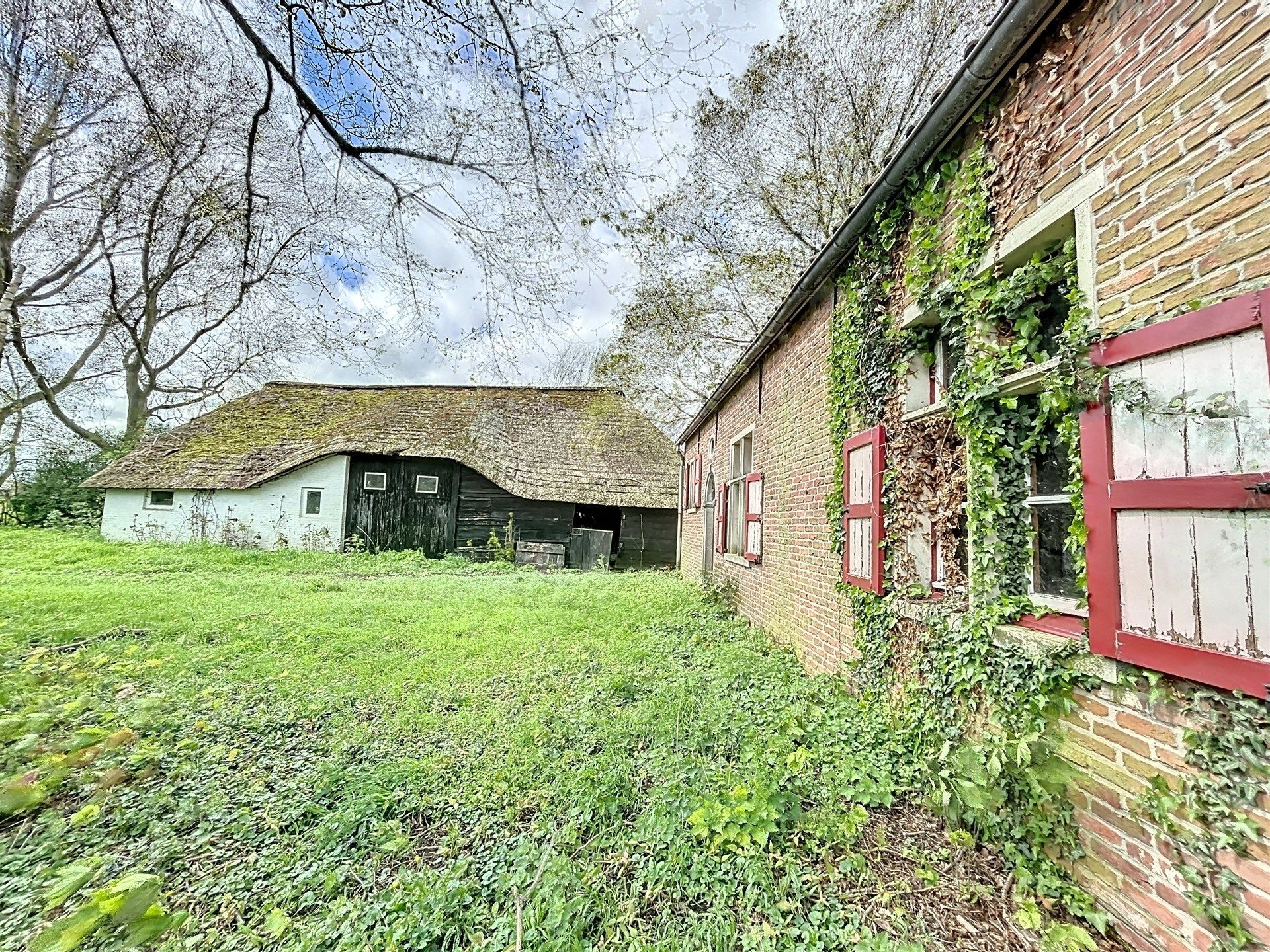 PRACHTIG GELEGEN HOEVE met bijgebouw op 19892m² foto 13