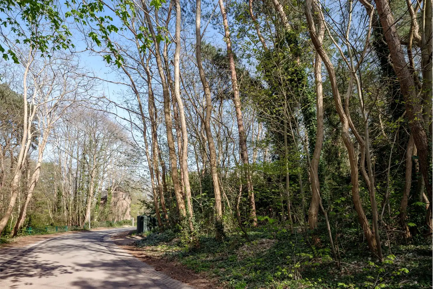 Bouwgrond van ca. 2.021m2 met zuidelijke oriëntatie foto 2