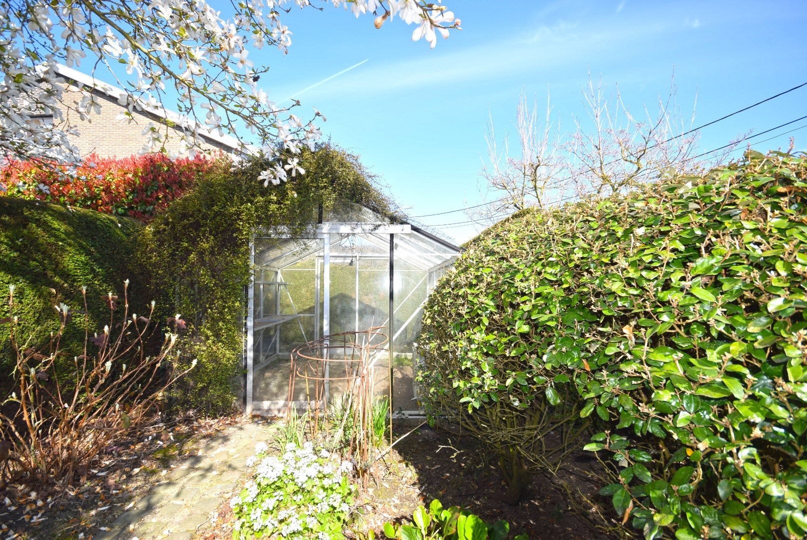 CHARMANTE BUNGALOW MET RUIME TUIN EN BIJGEBOUWEN IN ROESELARE foto 29