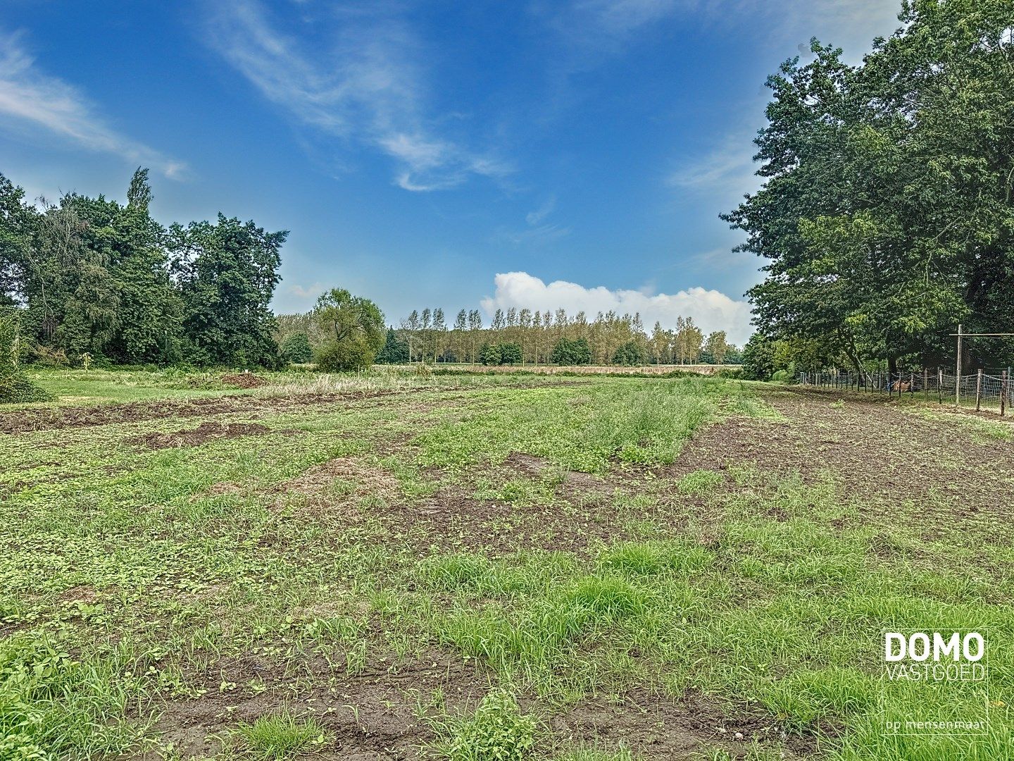 Rustig gelegen woning in het groen te Stevoort met tal van mogelijkheden. foto 19