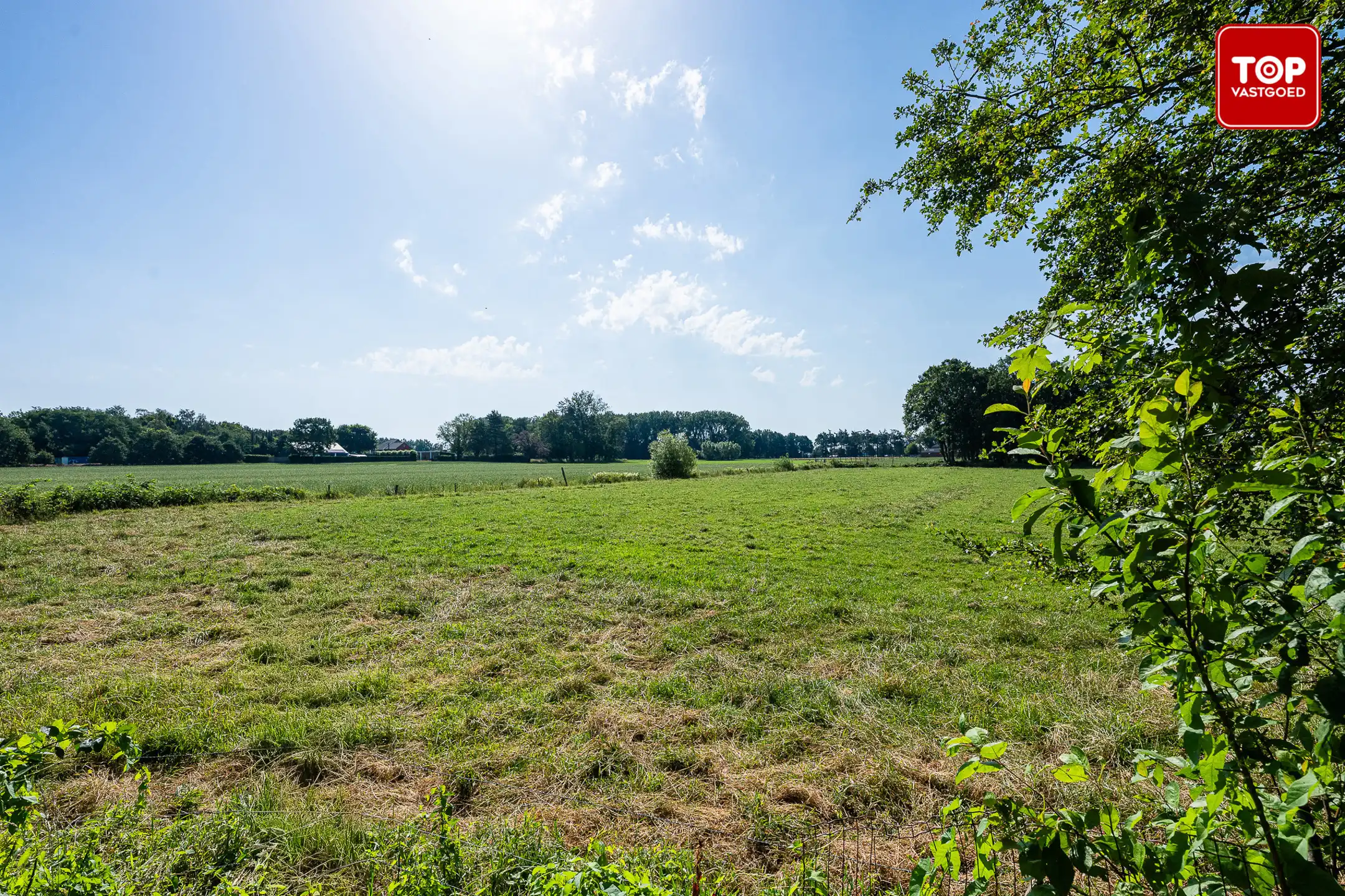 Te renoveren woning met prachtige, zonnige tuin foto 24