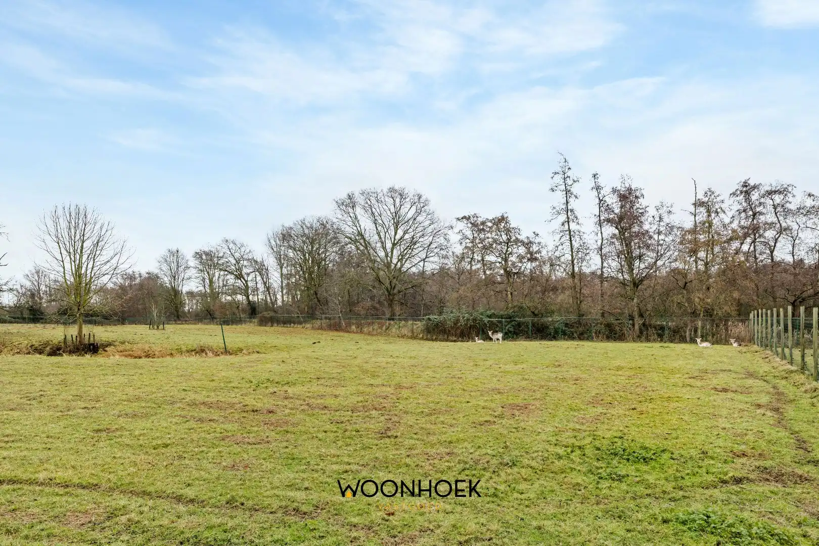 OPENHUIZENDAG 05/02, boek nu online uw afspraak!  foto 24