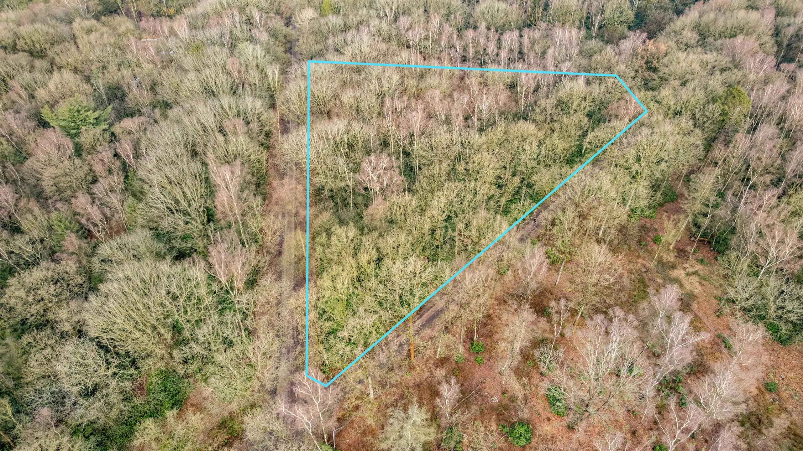 Perceel bosgrond te Gooreind! foto 3