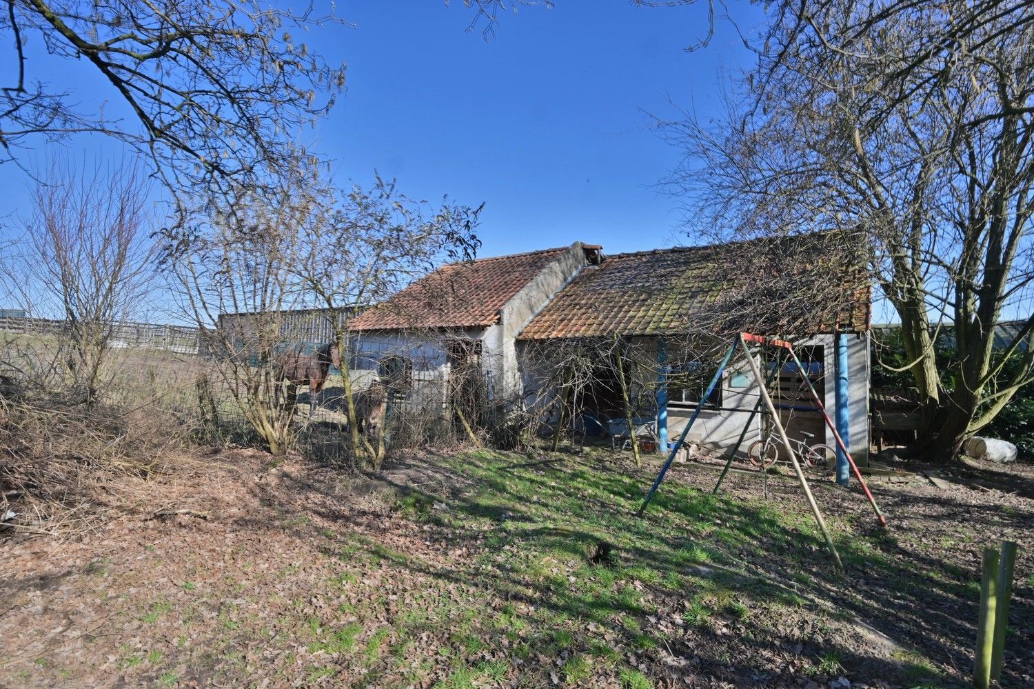 Verrassend royale woning met bijbouw/atelier en aangrenzende paardenweide, met in totaal een grondoppervlakte van 34a 88ca (3.488 m²) foto 21