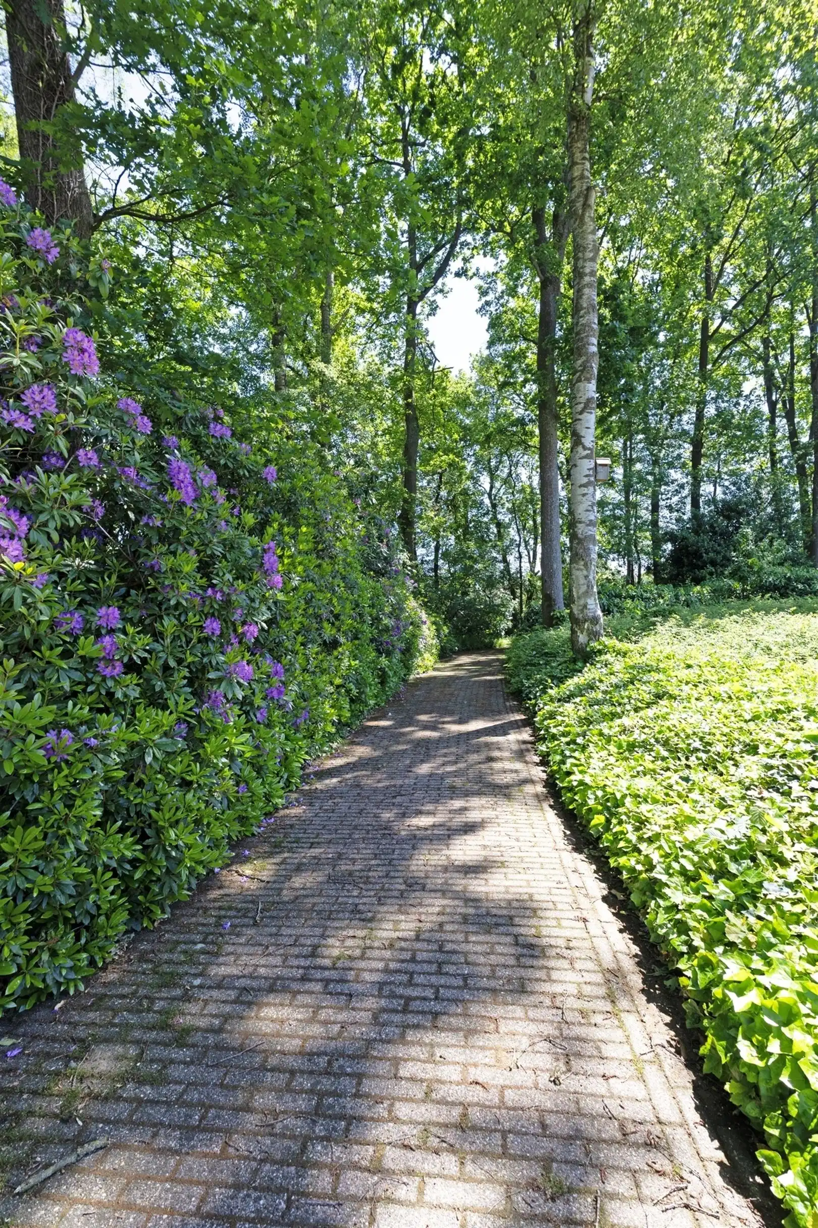 Charmante woning met weilanden op perceel van 2ha 48a 40ca foto 10