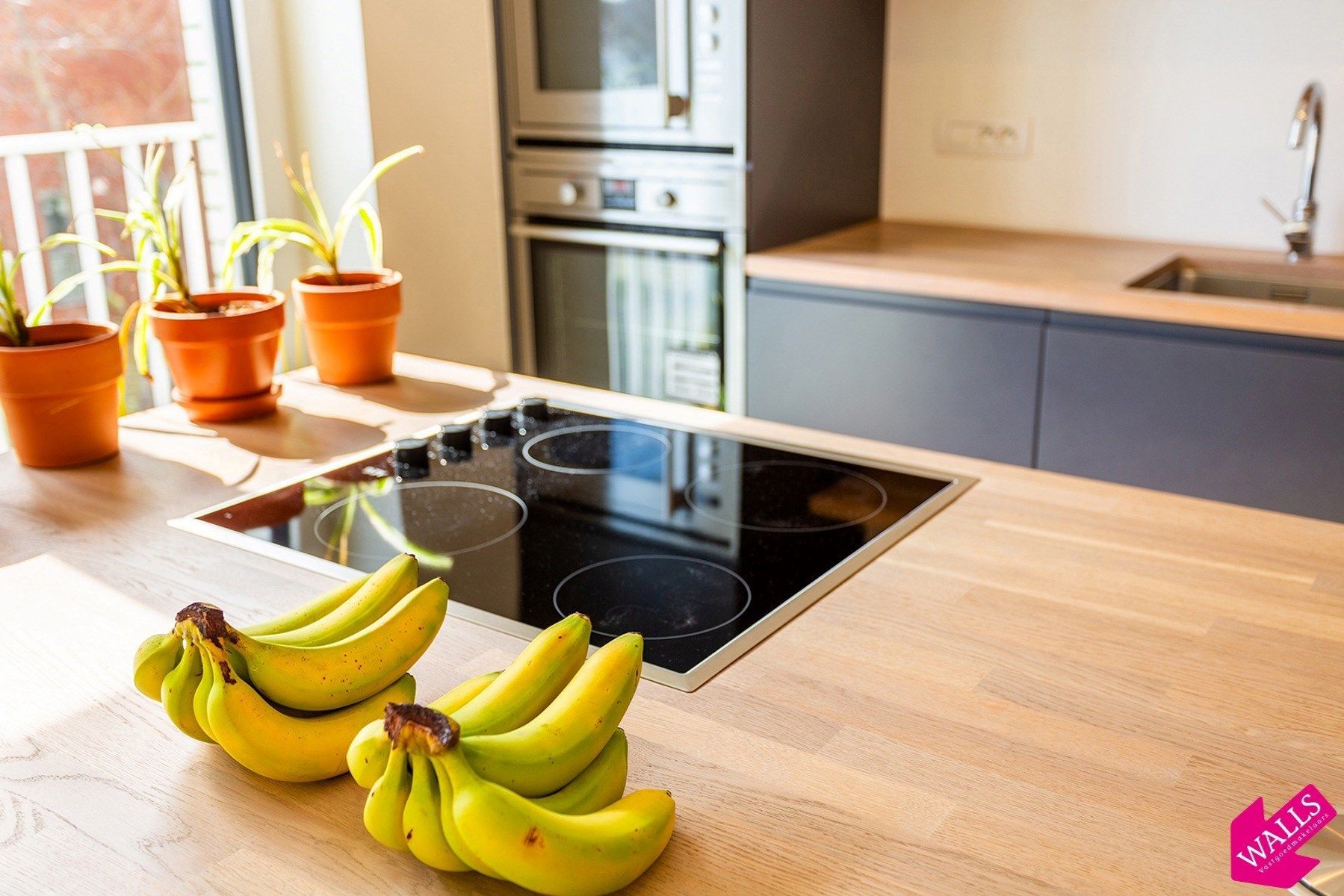 Ruim appartement met zicht op Kempischdok foto 3