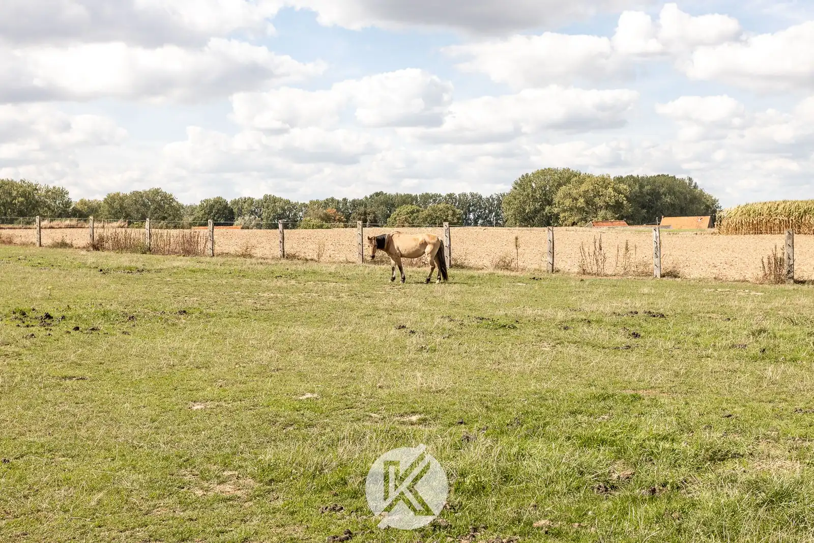 Villa op 31a in een groene omgeving foto 35