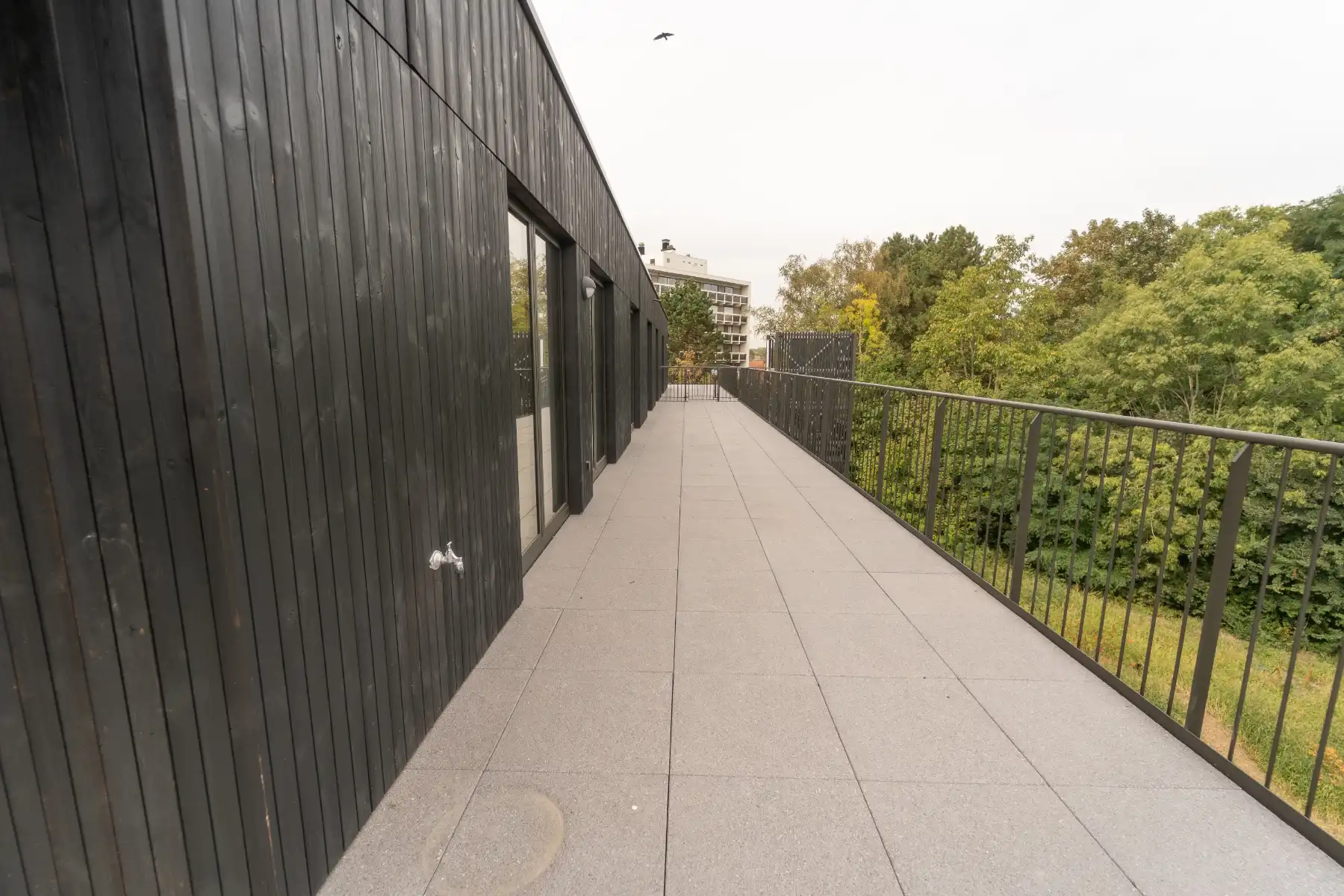 Prachtige penthouse met ruime terrassen. foto 4