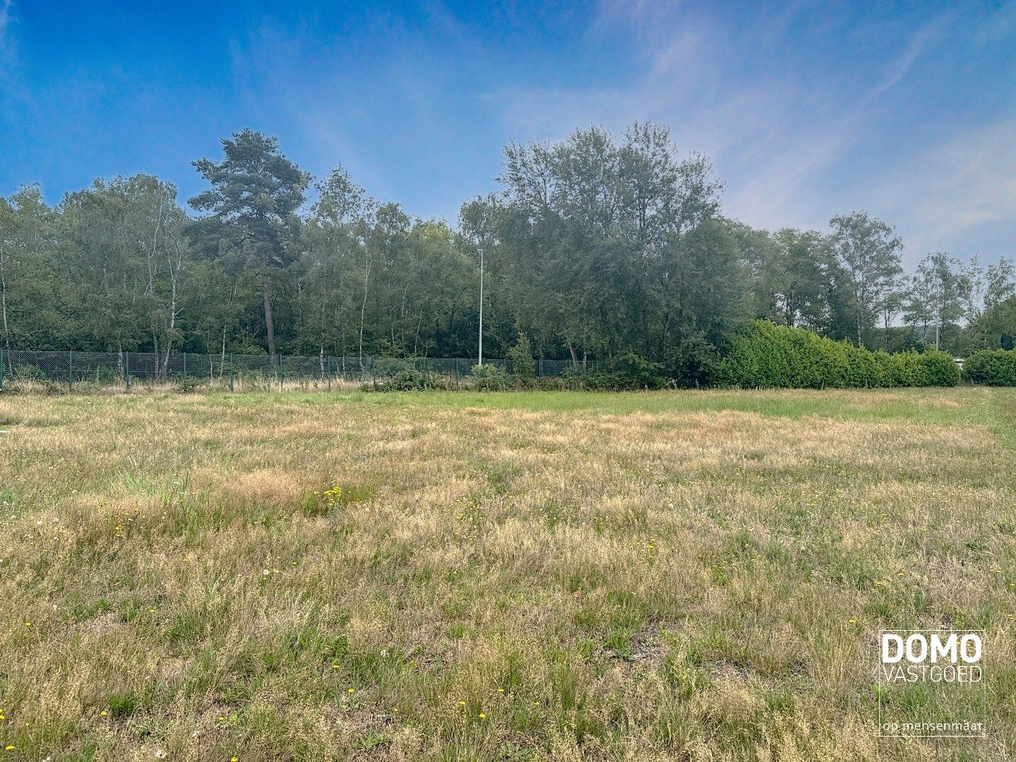 GUNSTIG GELEGEN BOUWGROND TE KOOP IN DIEPENBEEK foto 3