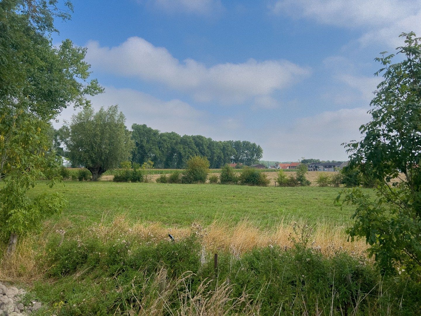 Nieuwbouw woning rustig gelegen te Lapscheure. foto 3