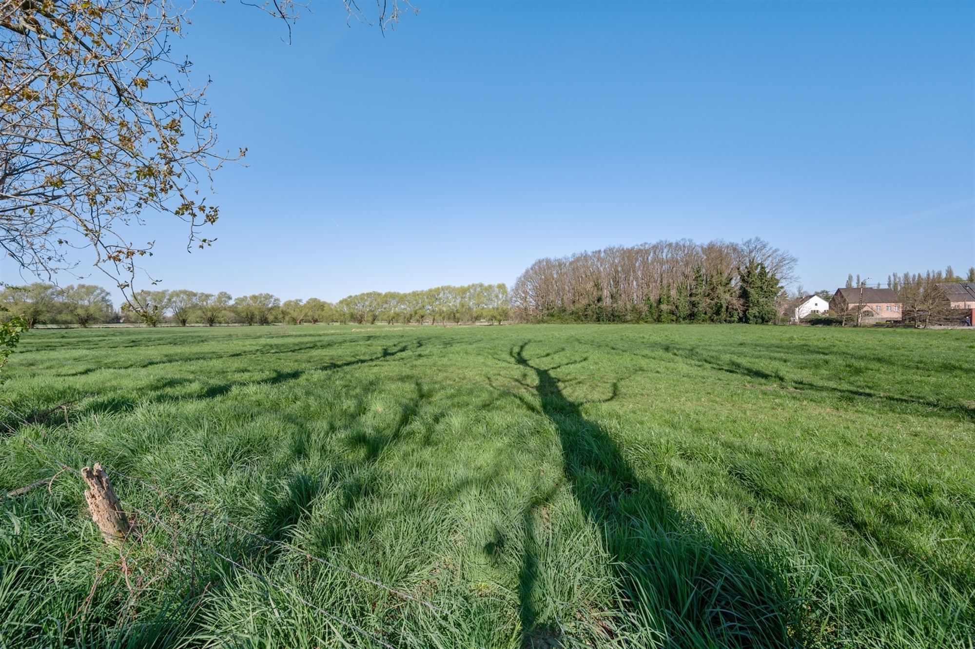 Mooi perceel landbouwgrond te Onze-Lieve-Vrouw-Waver (nabij Putte) foto 5