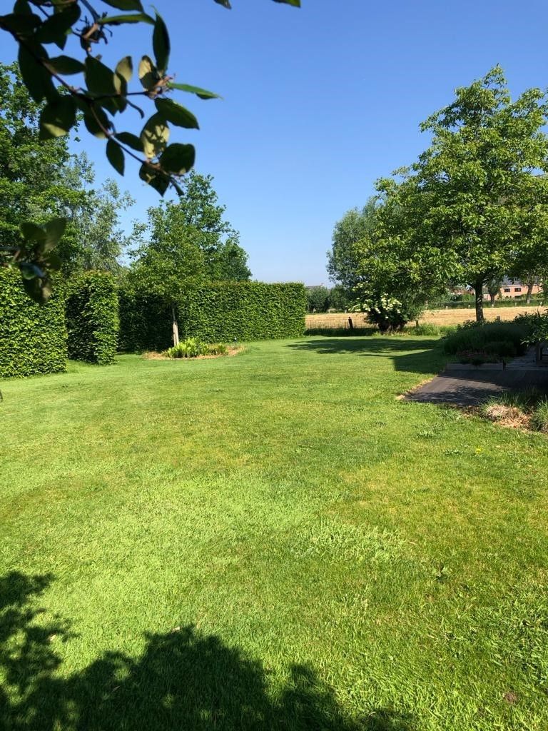 Luxueuze lichtrijke architectenwoning te Lochristi foto 4