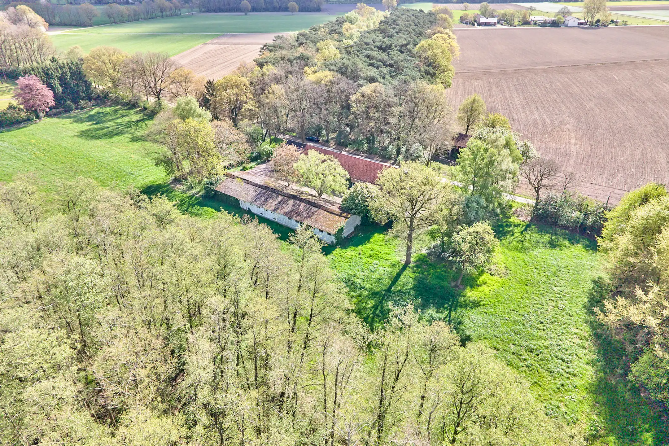 Hoofdfoto van de publicatie: TE RENOVEREN WONING MET VEEL MOGELIJKHEDEN OP 1HA 68A 48CA.