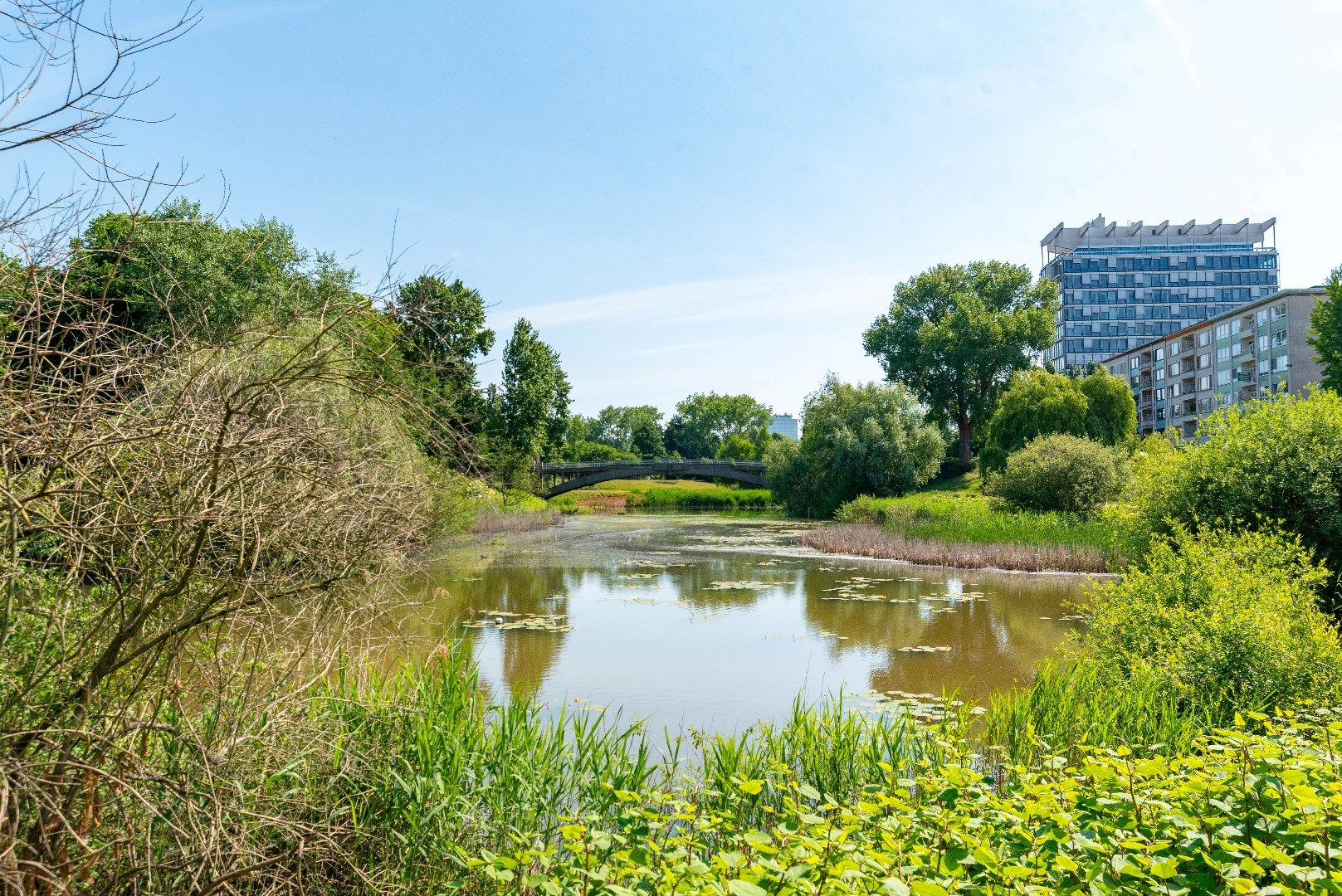 Appartement met uitzicht op 38 kleurrijke papegaaien! foto 14