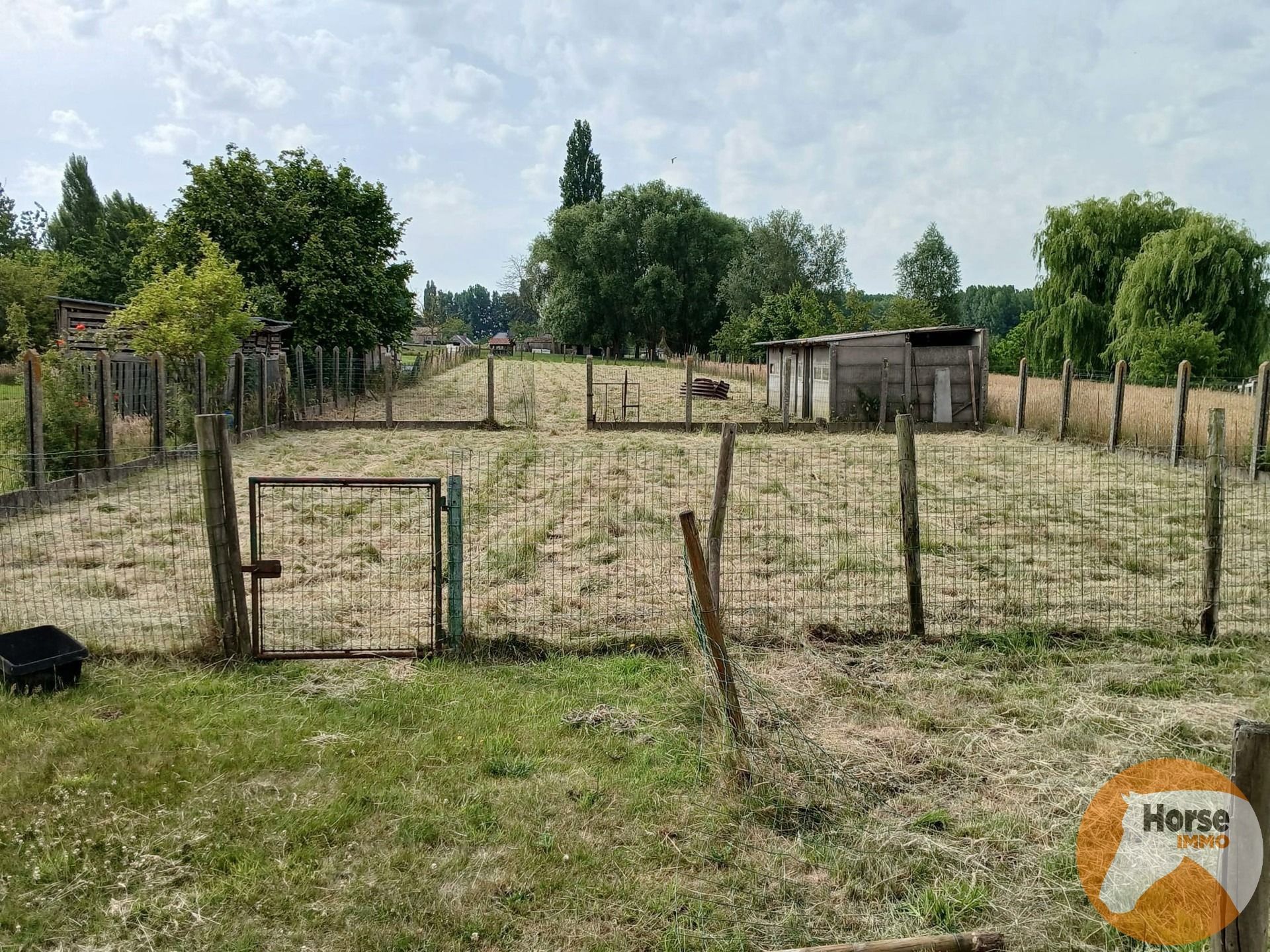 Hoofdfoto van de publicatie: HAALTERT- renovatiewoning op 22 are met prachtig vergezicht
