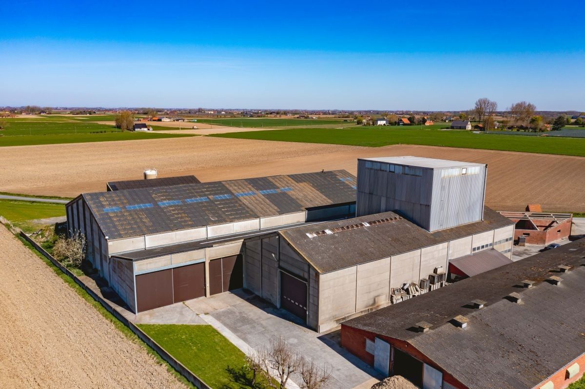 Hoeve met veevoederfabriek te koop te Poperinge (Watou) foto 4