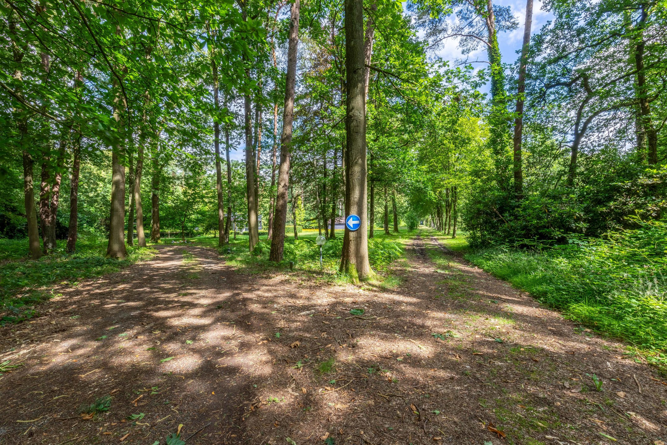 Uitzonderlijk domein met woonst op ca. 143.000 m² foto 12