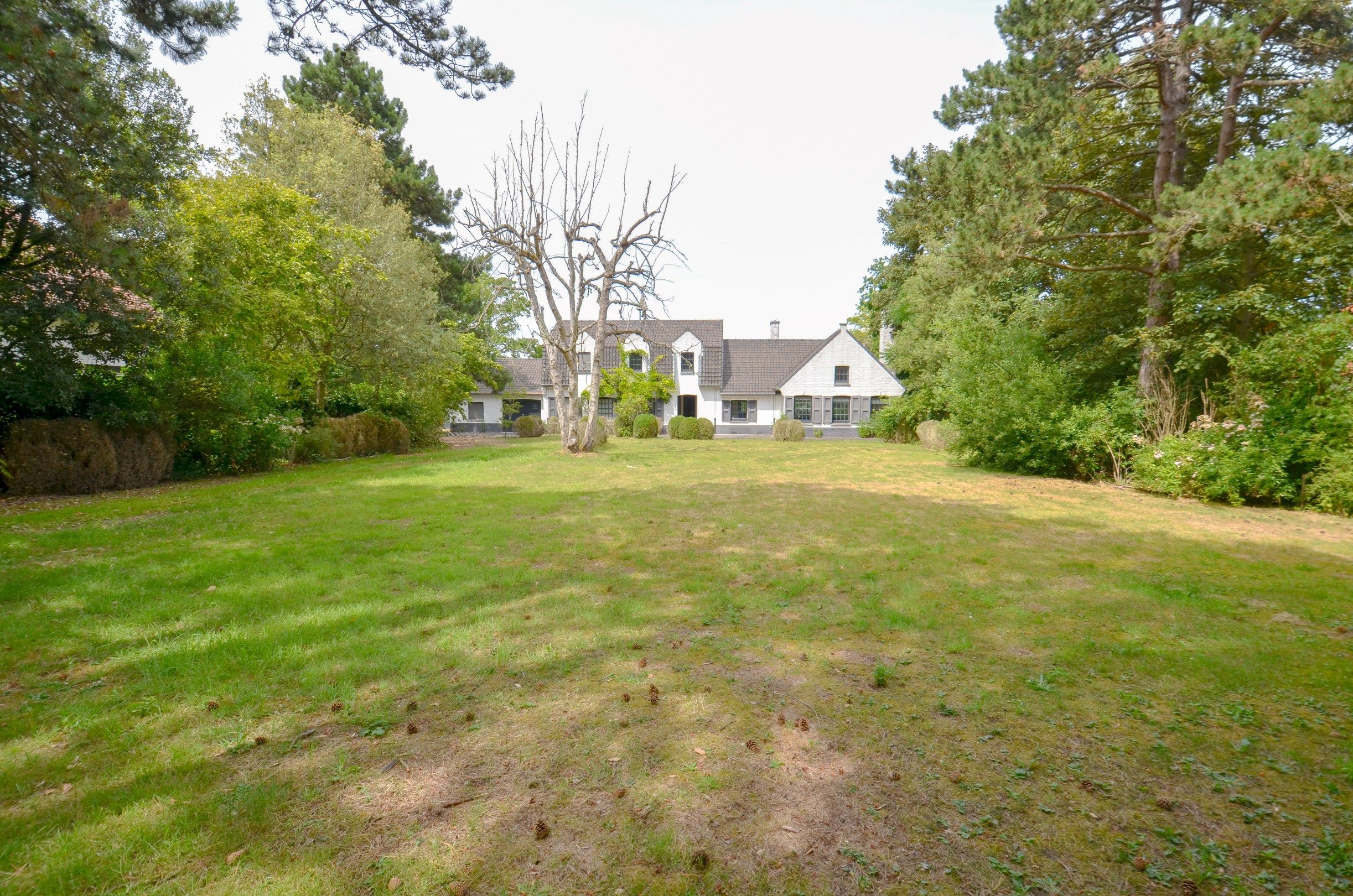Exclusieve villa ,rustig gelegen op een perceel van 1628 m² nabij de Royal Zoute Tennis Club. foto 5