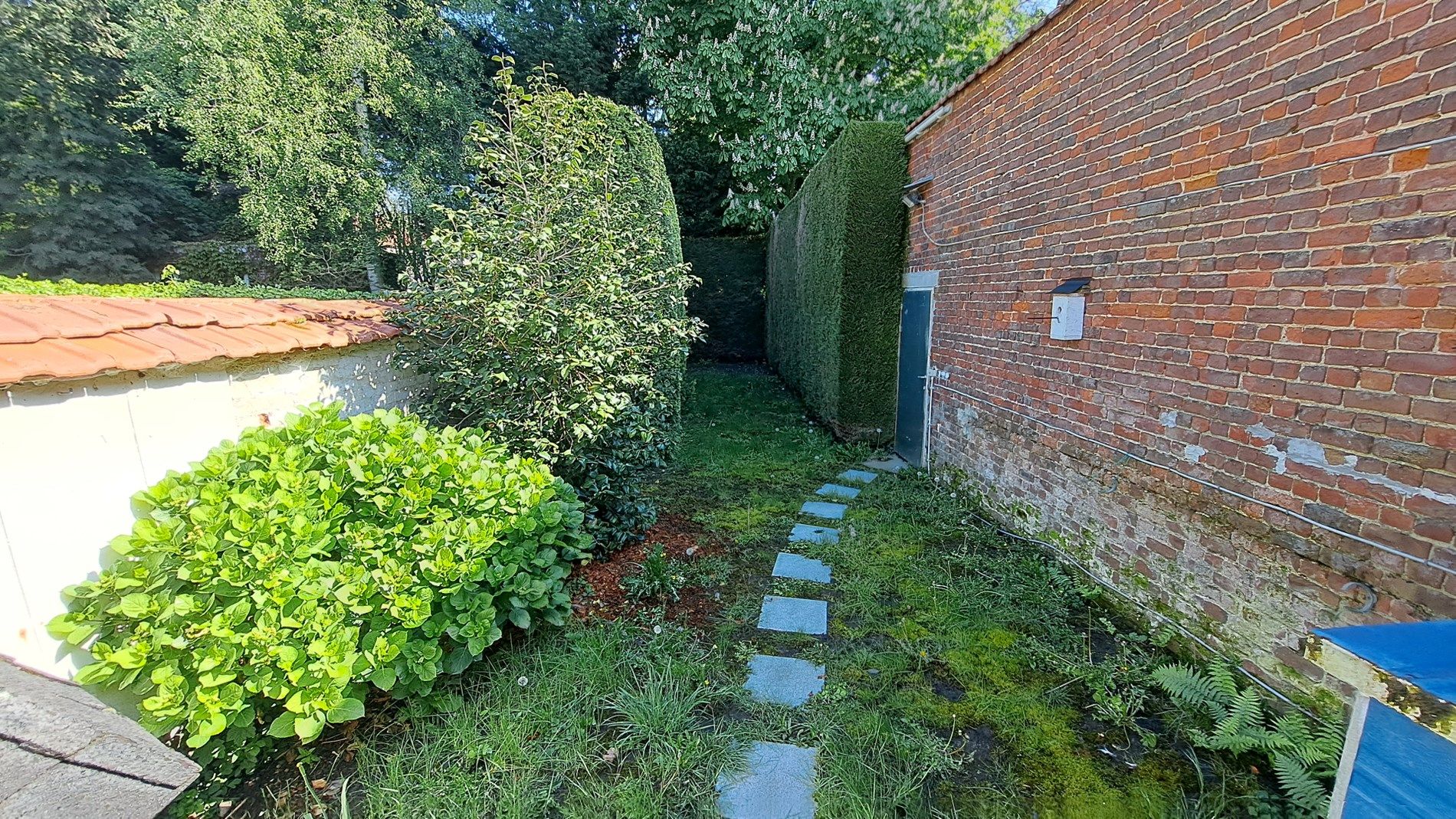 Burgerwoning met 3 slaapkamers en tuin foto 2