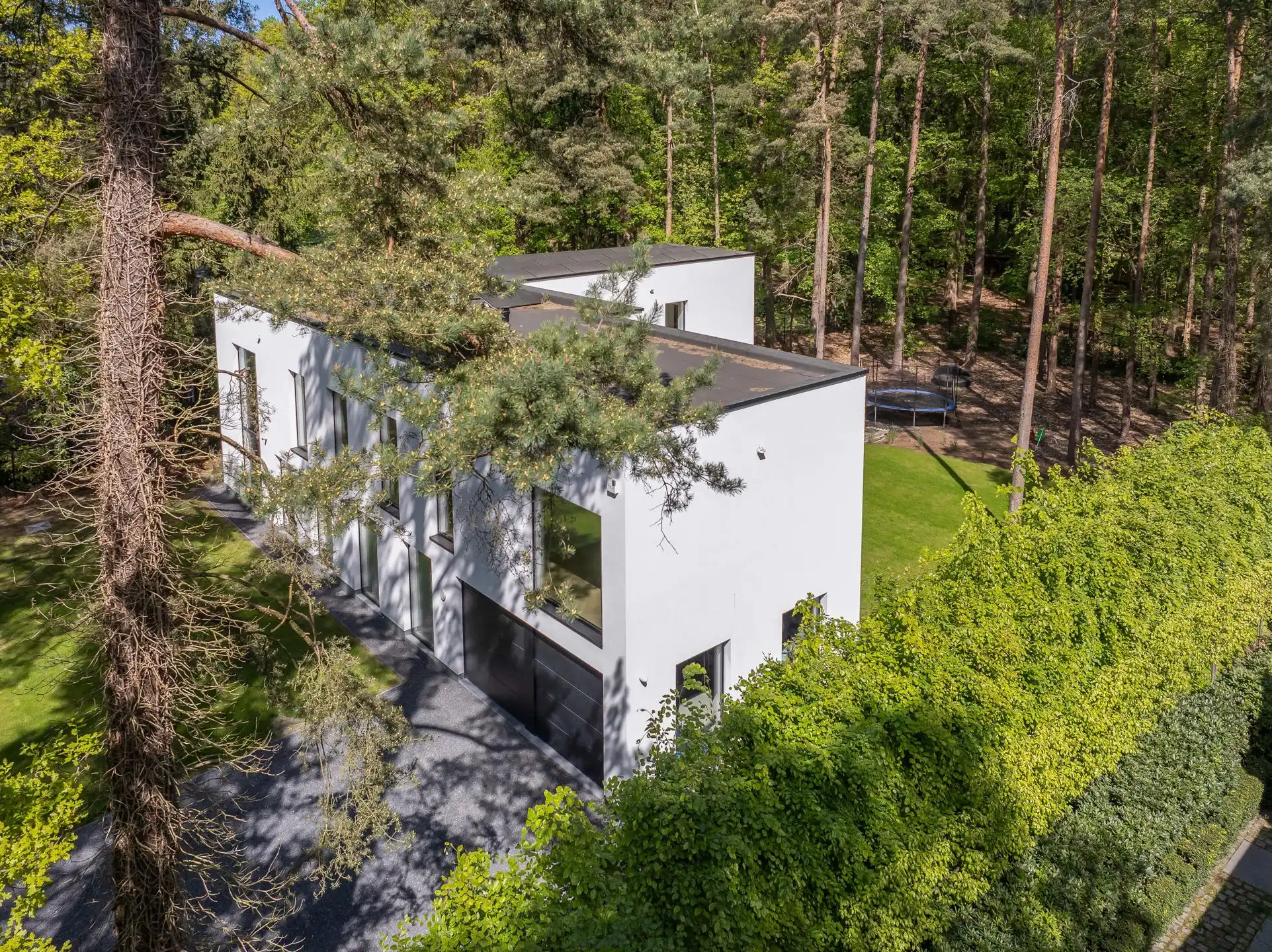 Exclusieve moderne villa waar natuur en perfectie samenkomen foto 3