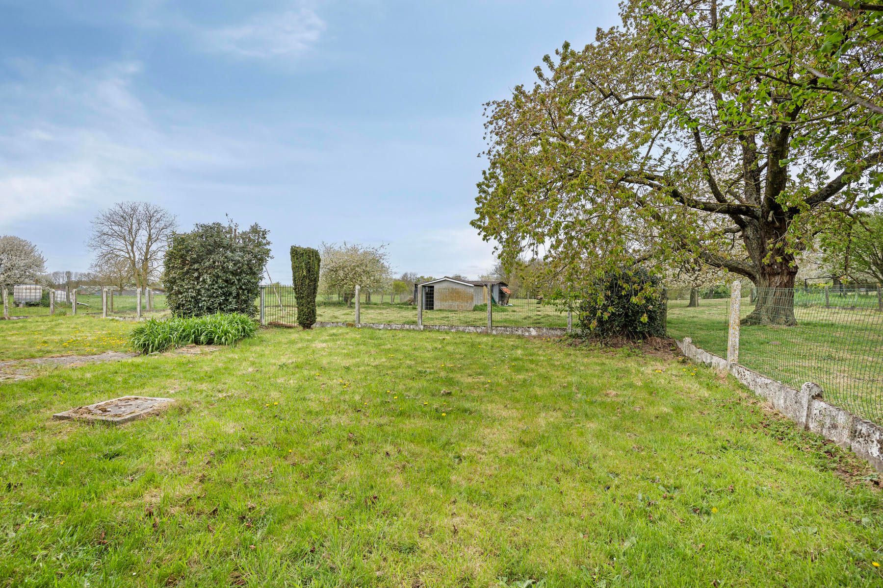 Ruime woning met potentieel op perceel van 13a70ca. foto 23