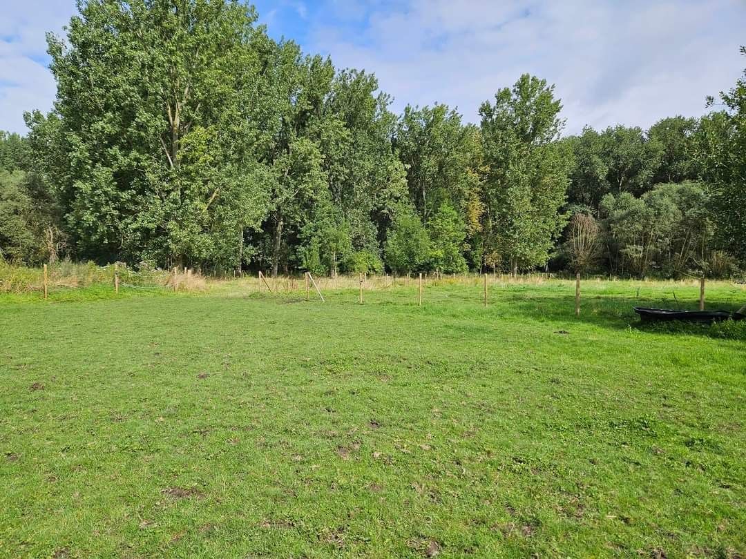 Weiland met paardenstallen op een opp. van 1,43ha foto 7