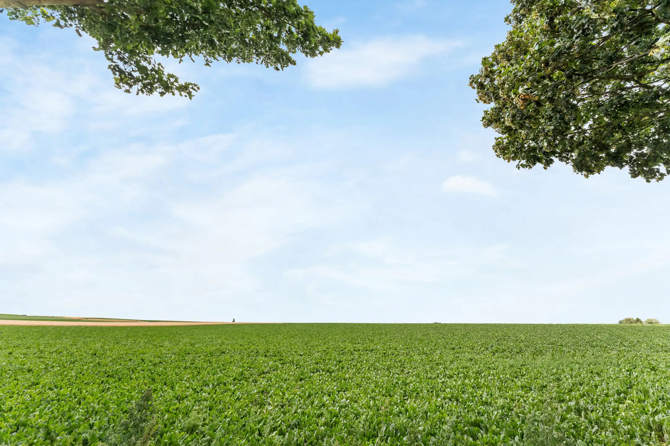 Vrijstaande woning in het landelijke Val-Meer foto 24