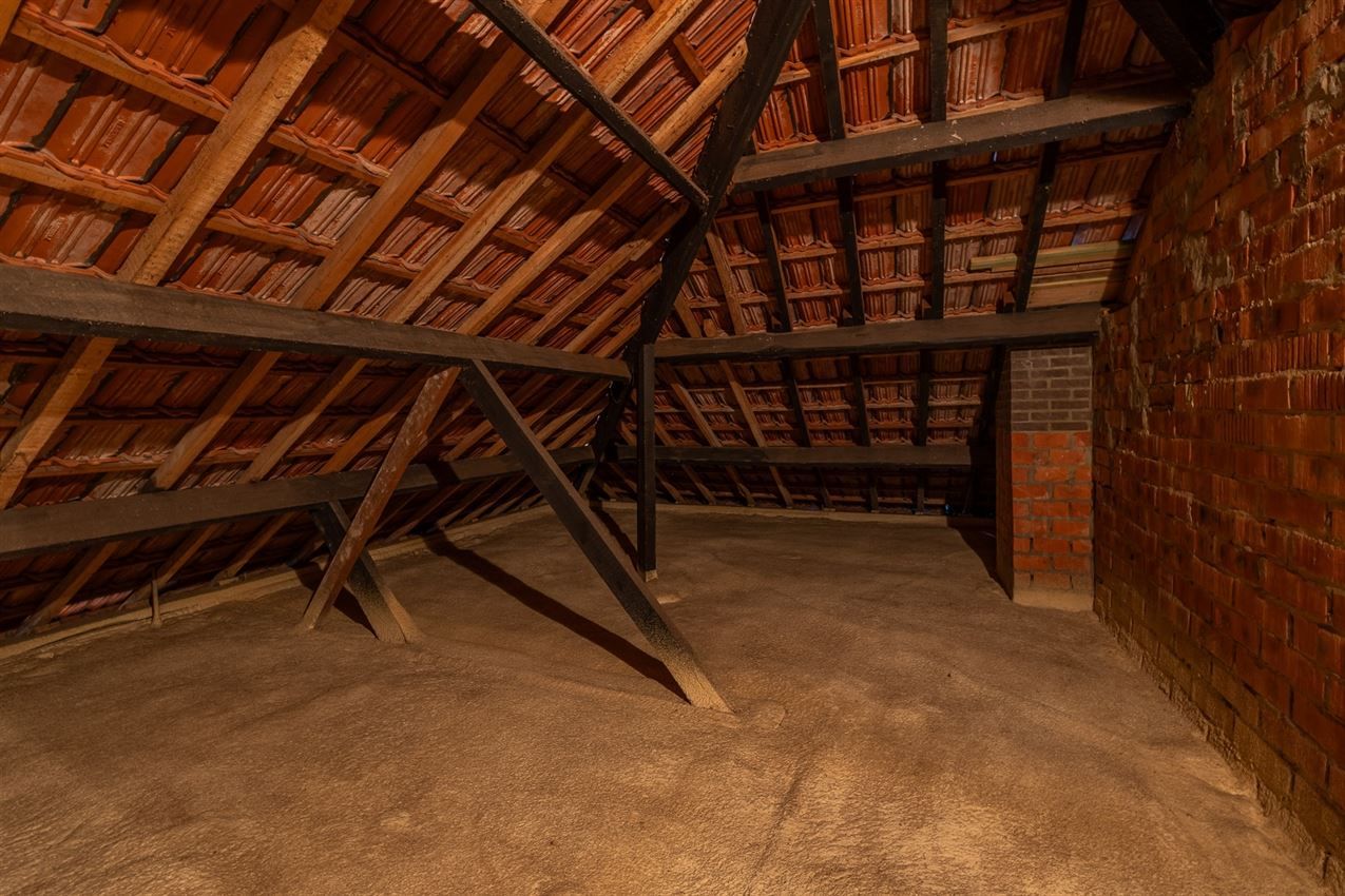 verborgen parel in het groen foto 53