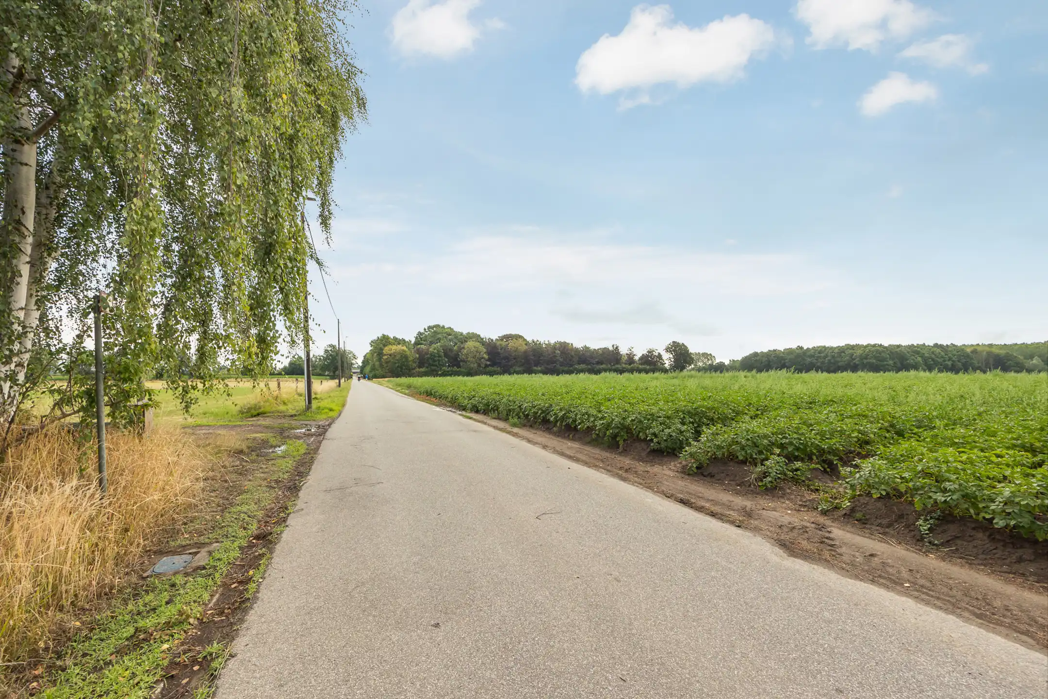 Bouwgrond van 620m² in rustige straat foto 7