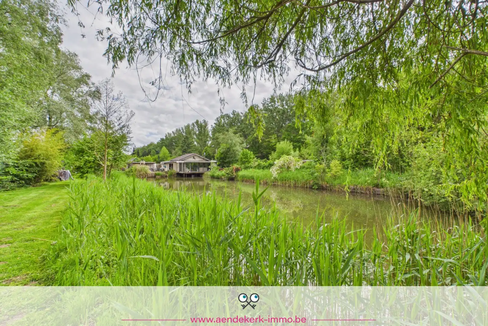 Bijzondere recreatie-eigendom met vijver en bemeubelde chalet te Maaseik foto 16