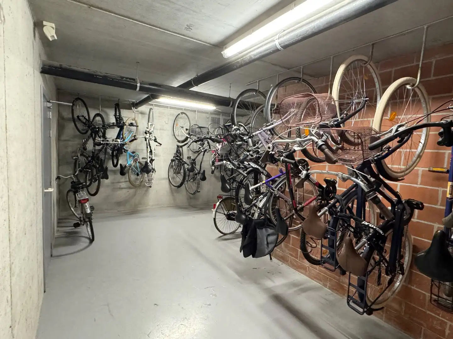 Xanadu 0502 + K6 foto 16