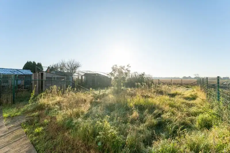 WONING MET  GROTE LOODS MET geintegreerde STUDIO foto 25