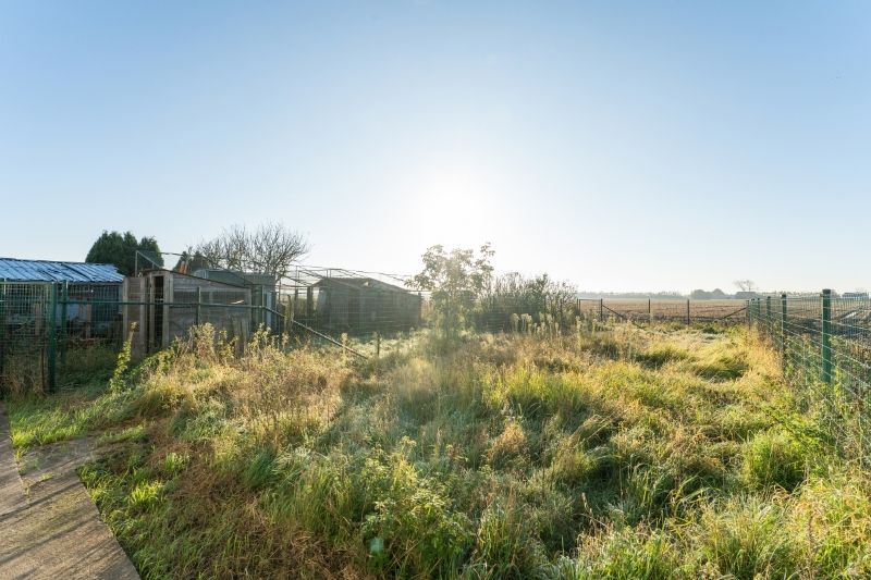 WONING MET  GROTE LOODS MET geintegreerde STUDIO foto 25