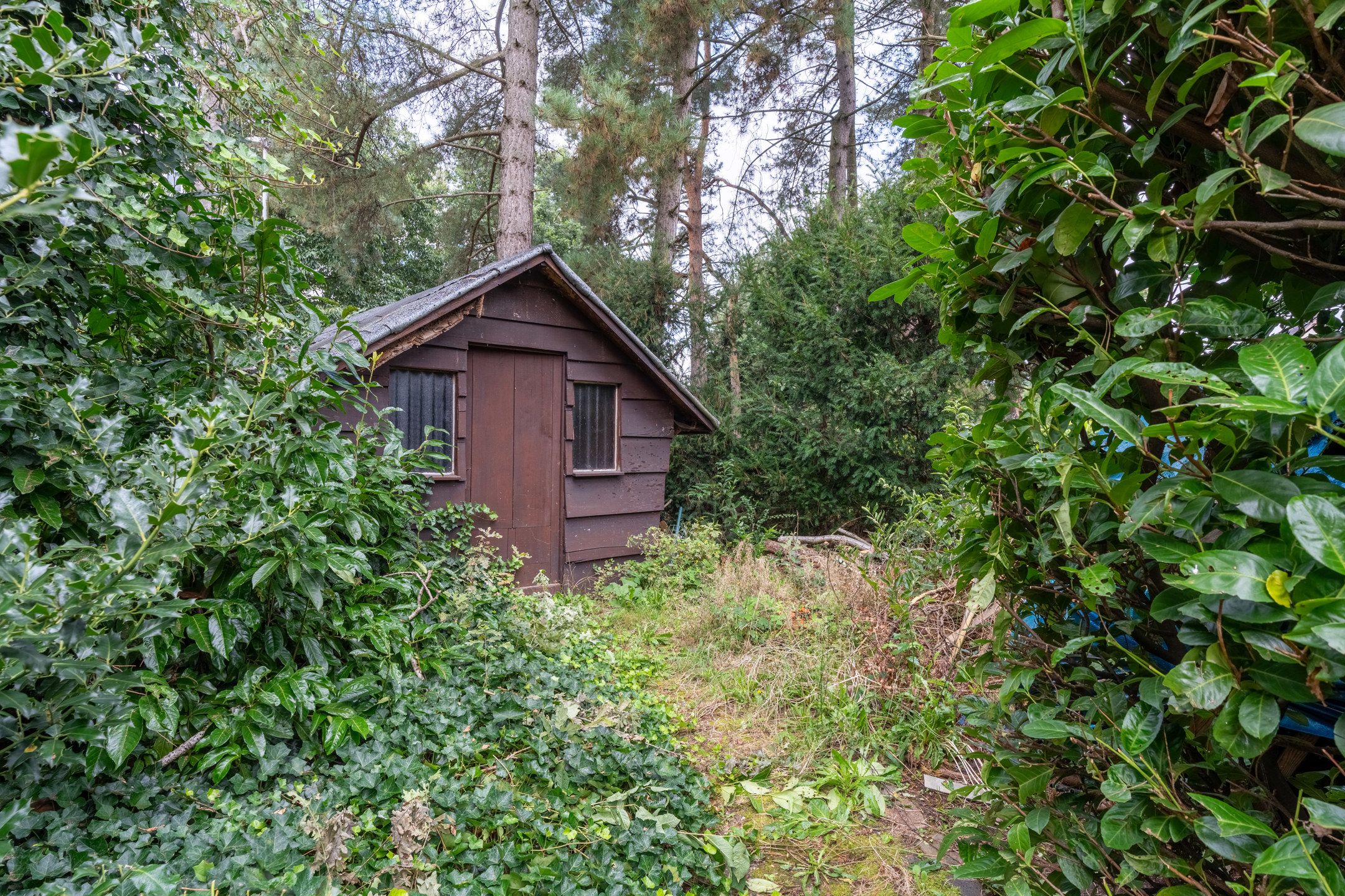 Tijdloze, te renoveren, gelijkvloerswoning op residentiële ligging op 1.400 m² foto 29