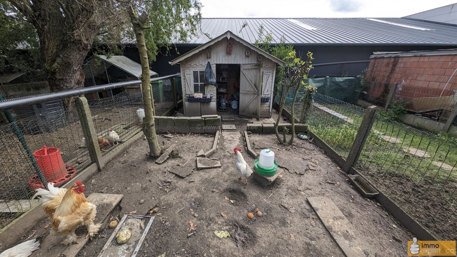 NINOVE: Gemoderniseerde woning met 4 slpks, tuin en terras foto 12