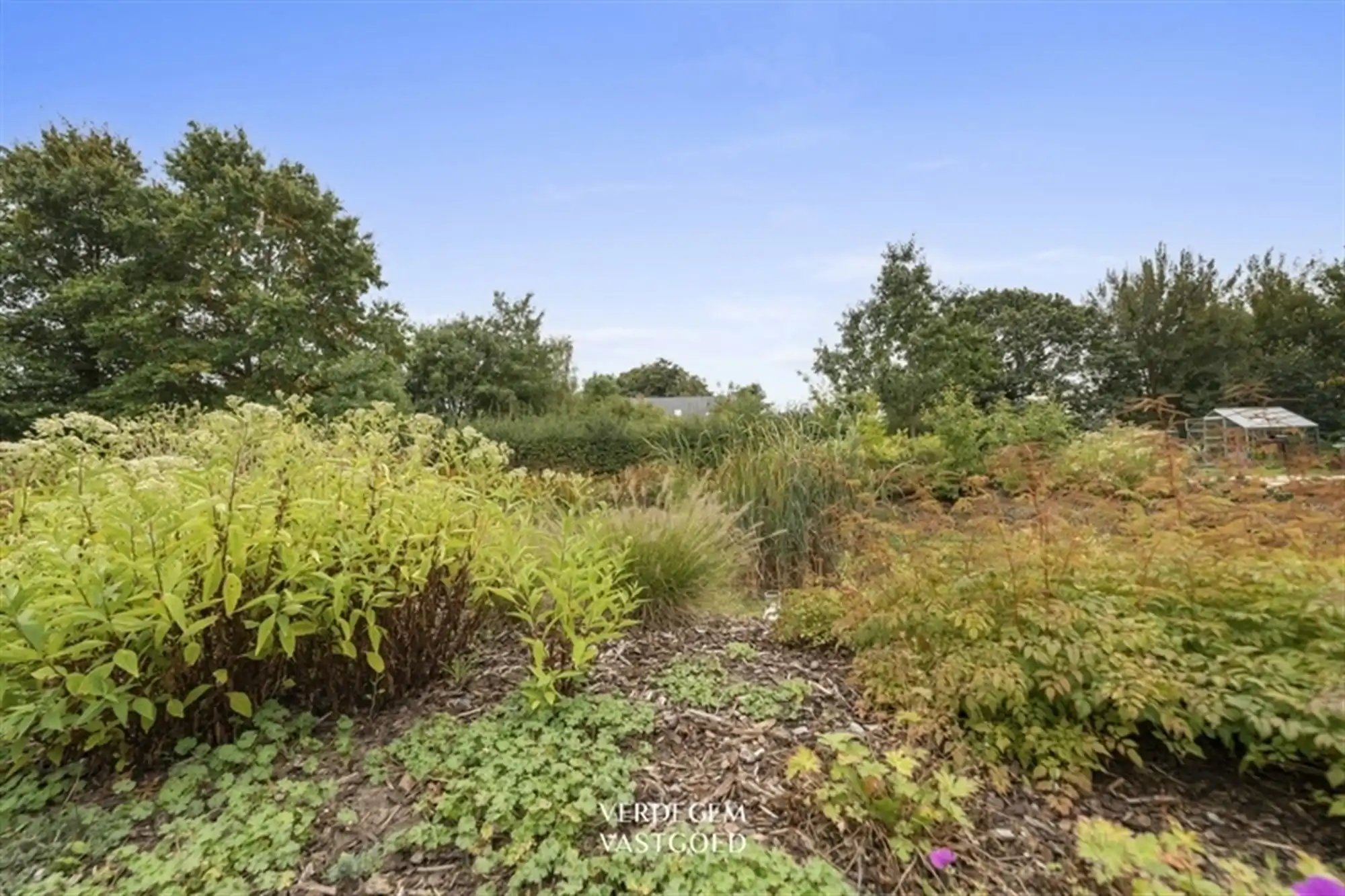 Comfortabel wonen met extra service: gelijkvloers assistentie-appartement met autostaanplaats foto 8