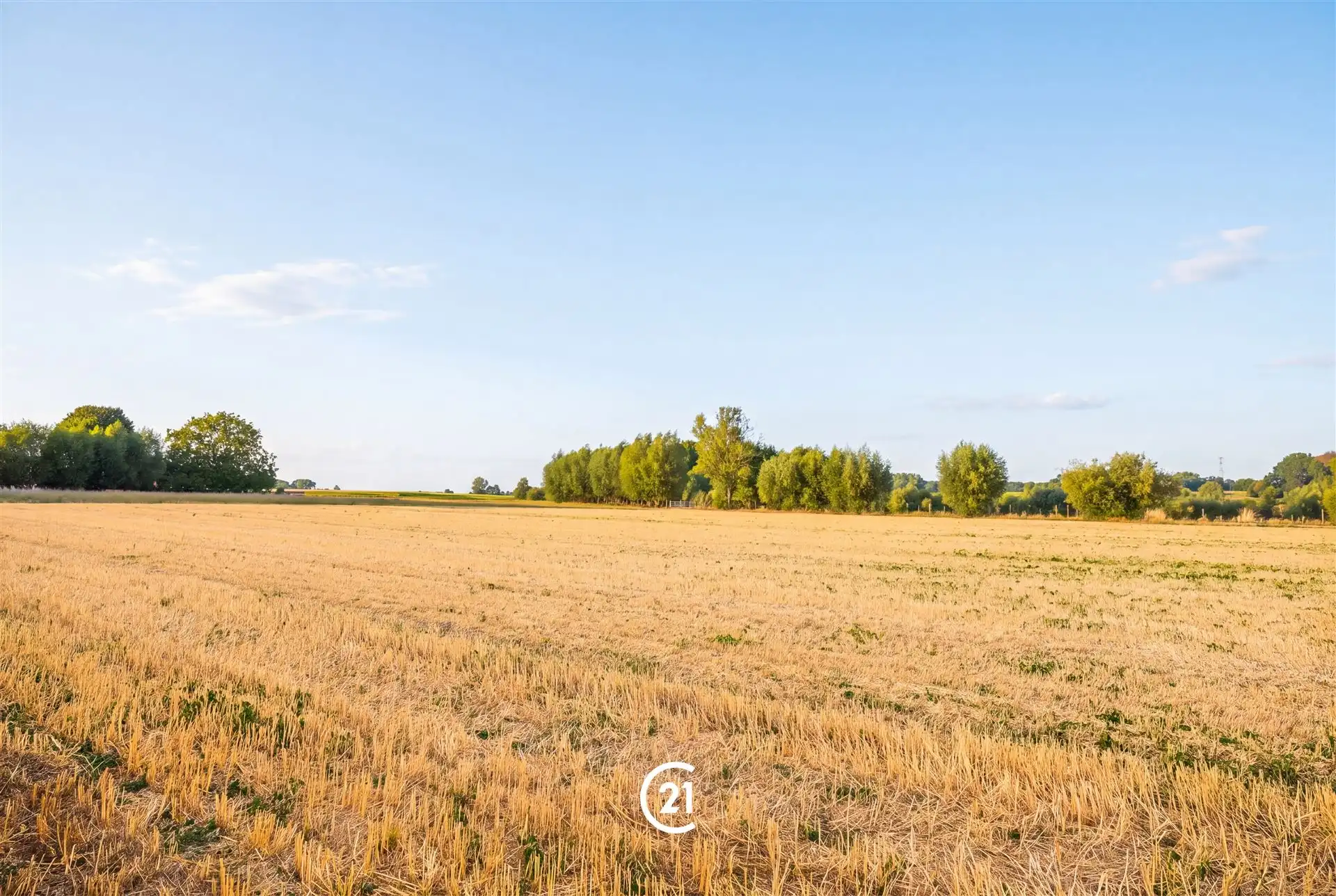Instapklare woning met garage en prachtig groen uitzicht foto 3