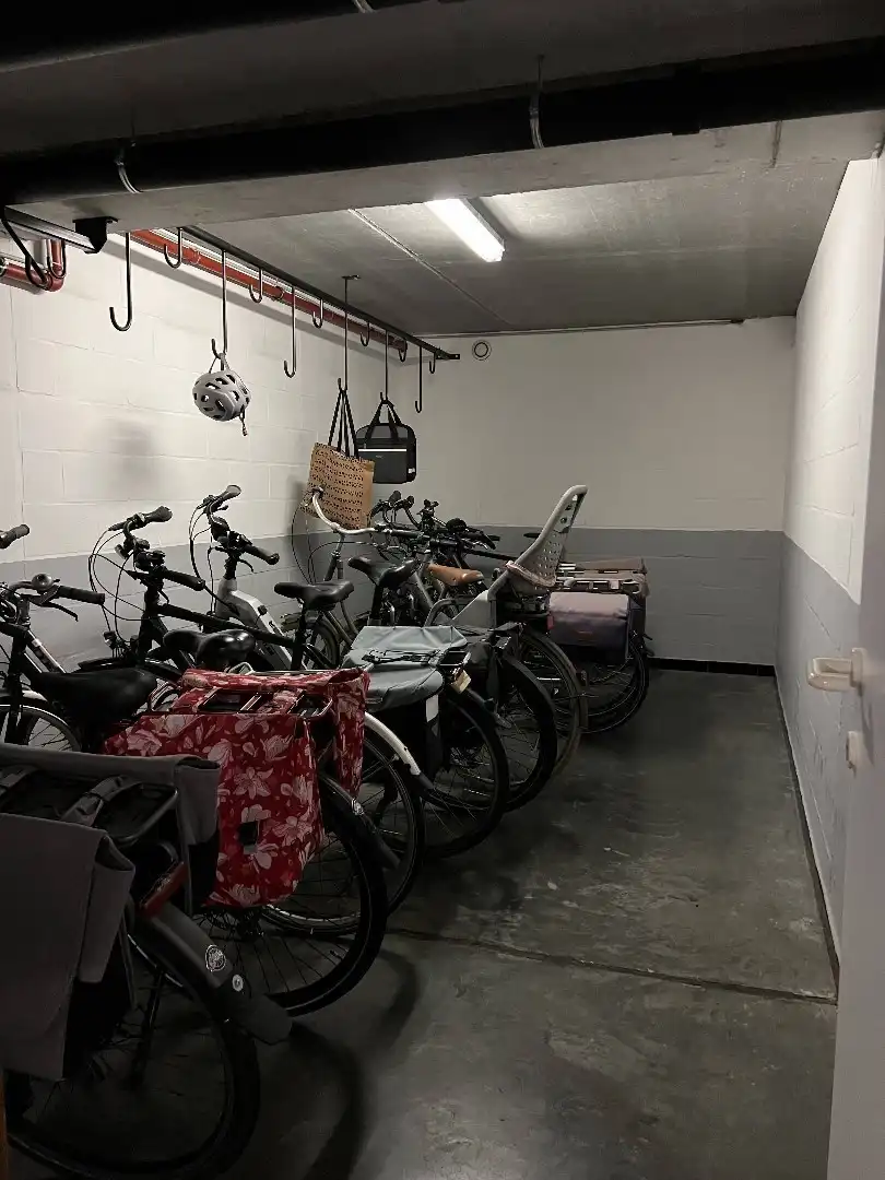 OOSTENDE-WIJK VOGELZANG foto 22