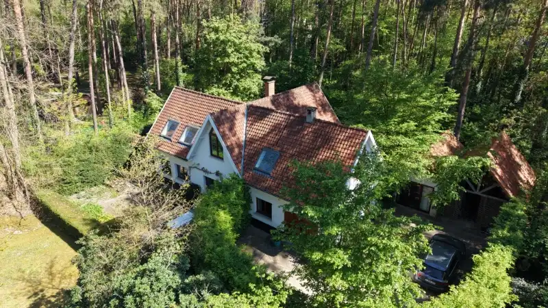 Sfeervolle villa met aangelegde tuin in rustige bosomgeving op 38 are foto 33