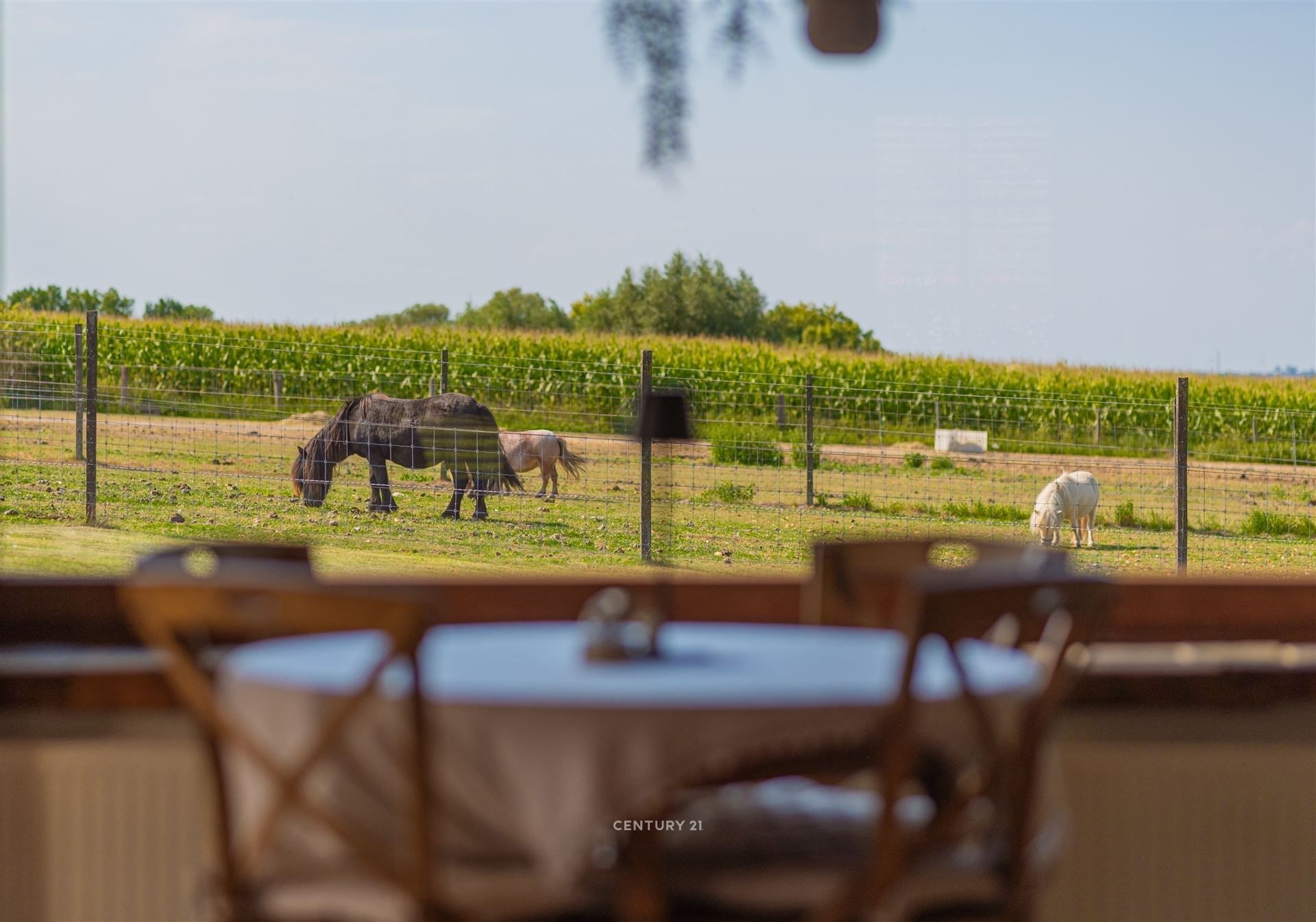 Exclusief restaurant mét instapklare villa foto 17