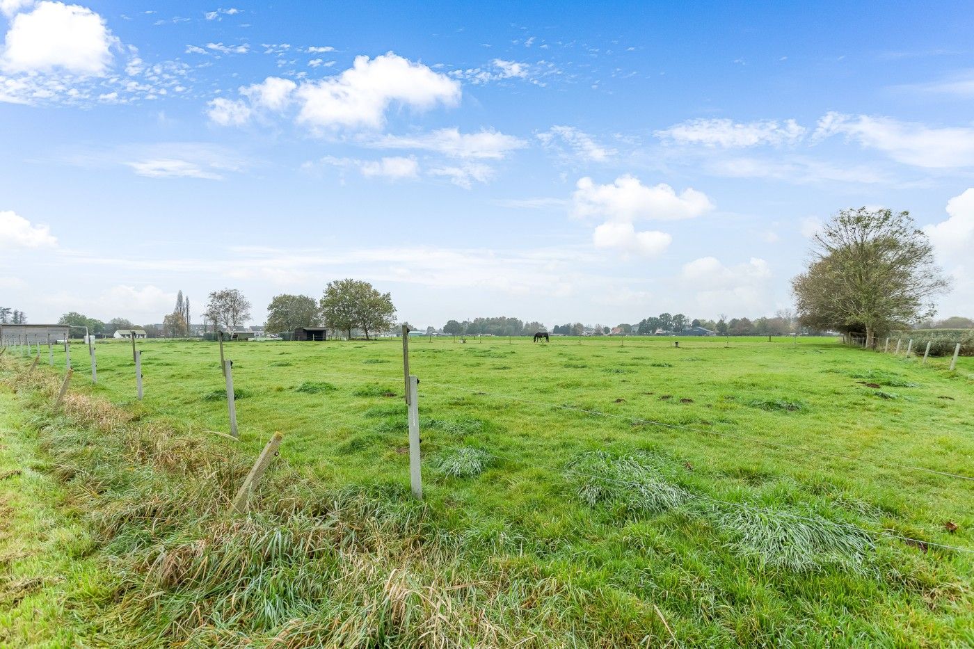 Mooi stuk weiland met 4 paardenstallen en rijpiste van ruim 1,5 hectare te koop in Hoevenen foto 13