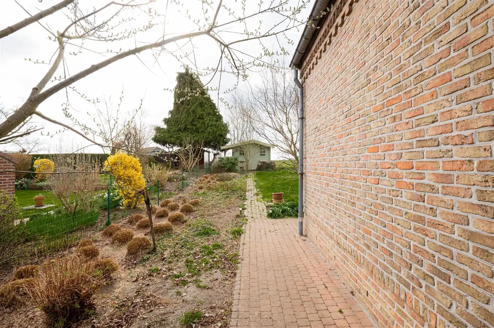 Villa in doodlopend straatje op wandelafstand van centrum foto 22