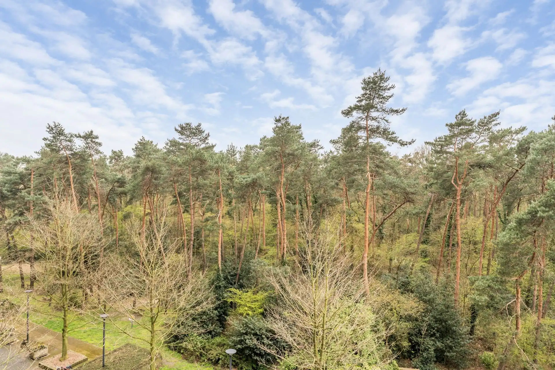 Appartement met 2 slaapkamers en kelderberging foto 17