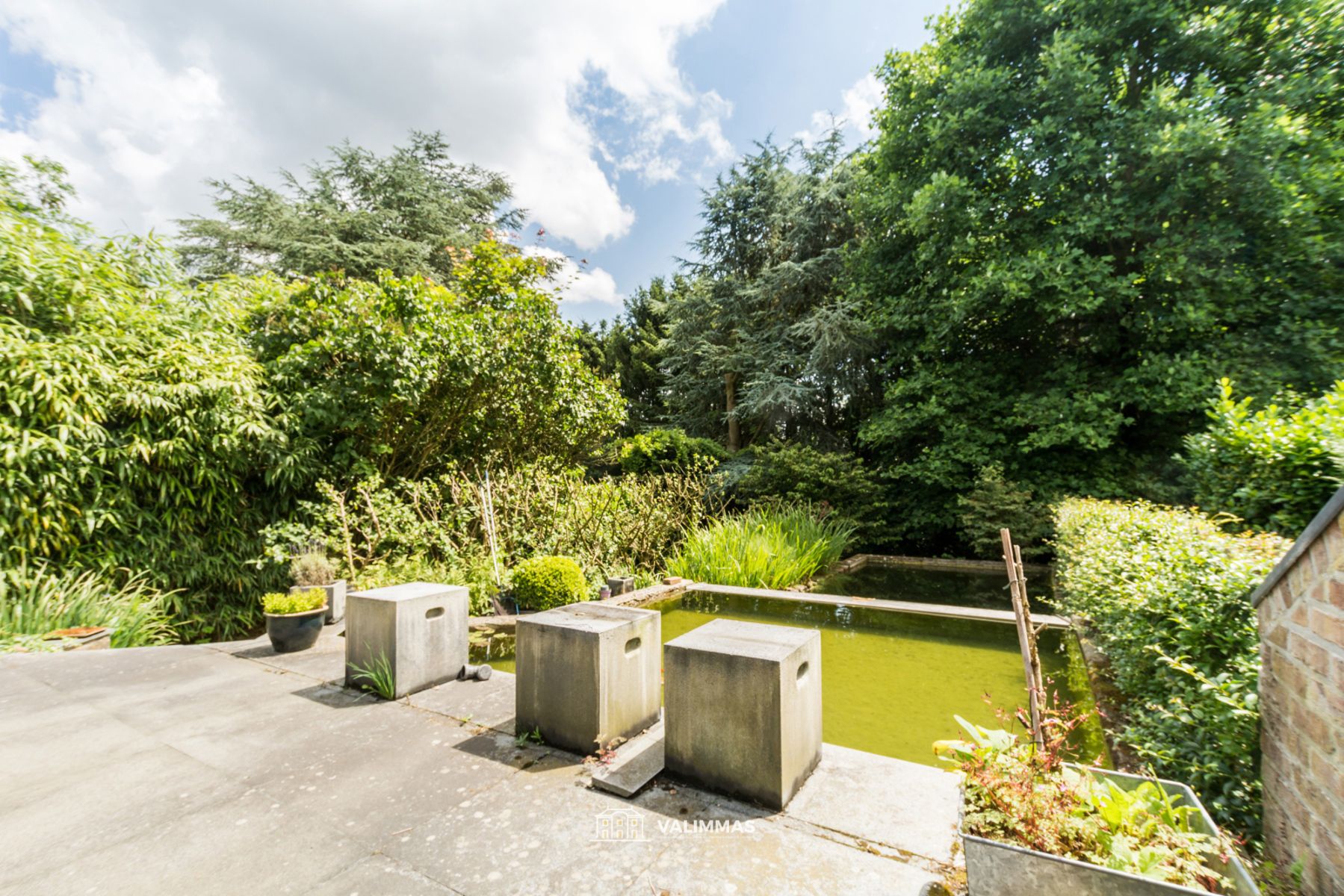 Villa met garage en mooi aangelegde tuin met zwemvijver... foto 4