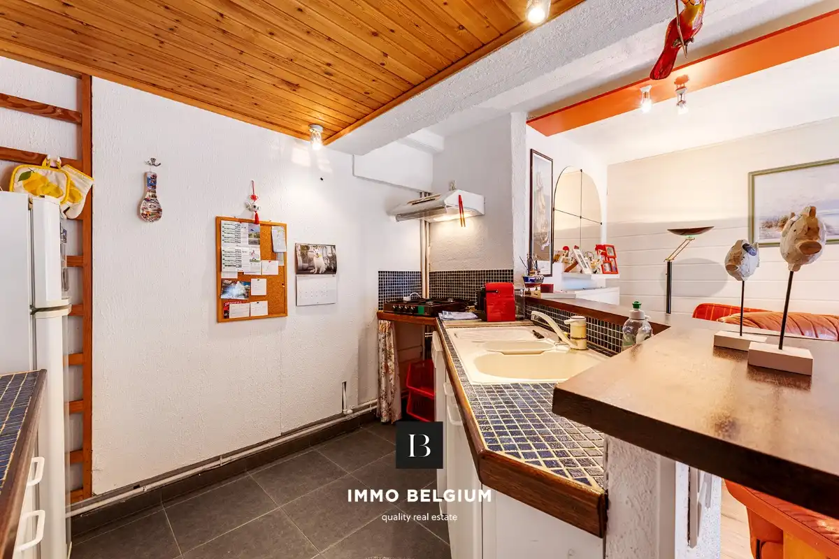 Appartement met zonnige tuin in de Concessie foto 9