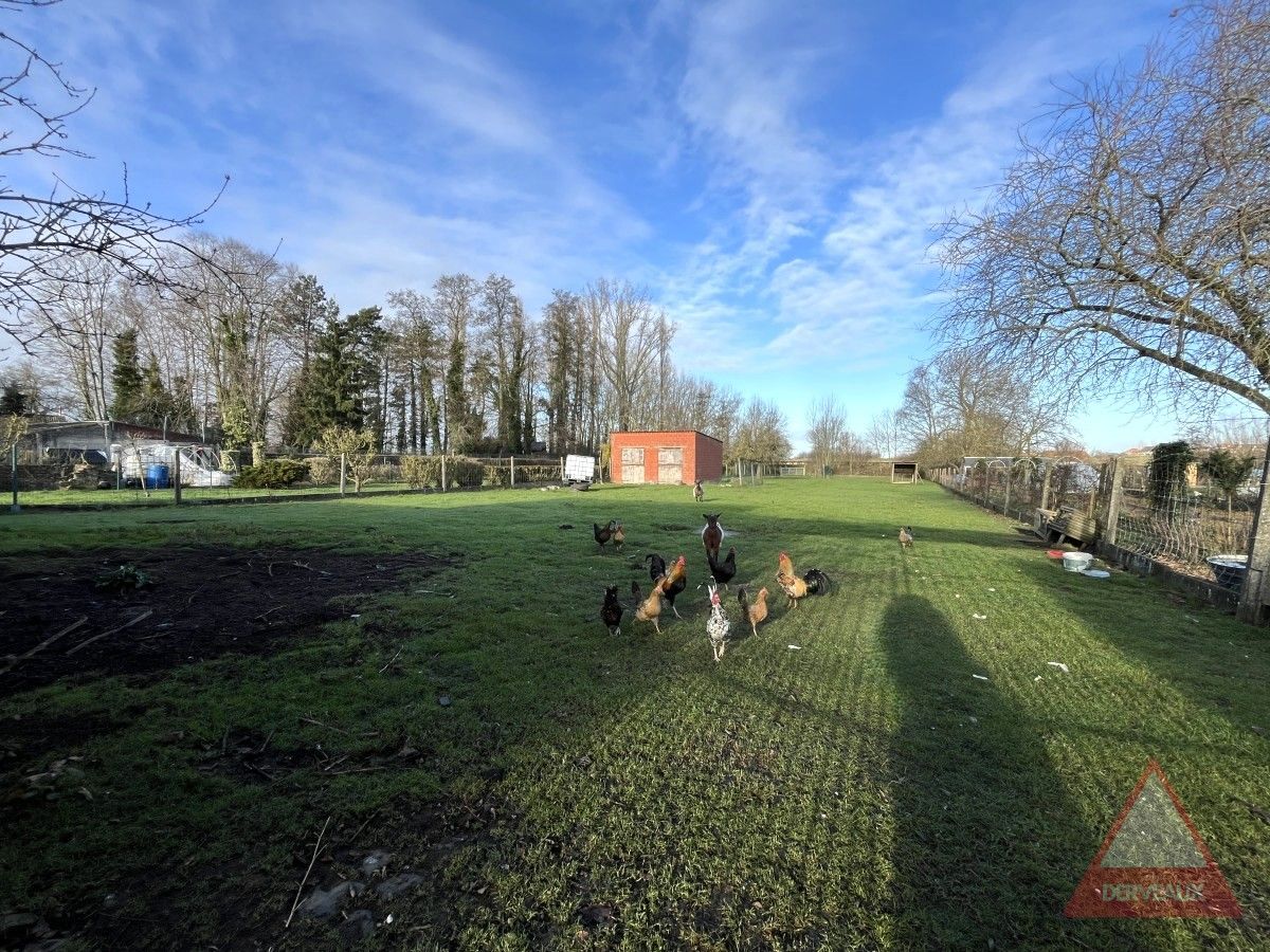 Zonnebeke – Woning met ruime tuin en uitweg achteraan foto 7