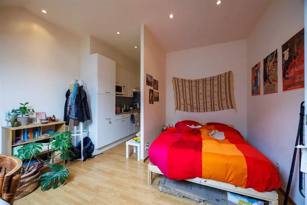 Studentenhuis met drie studio's! foto 18