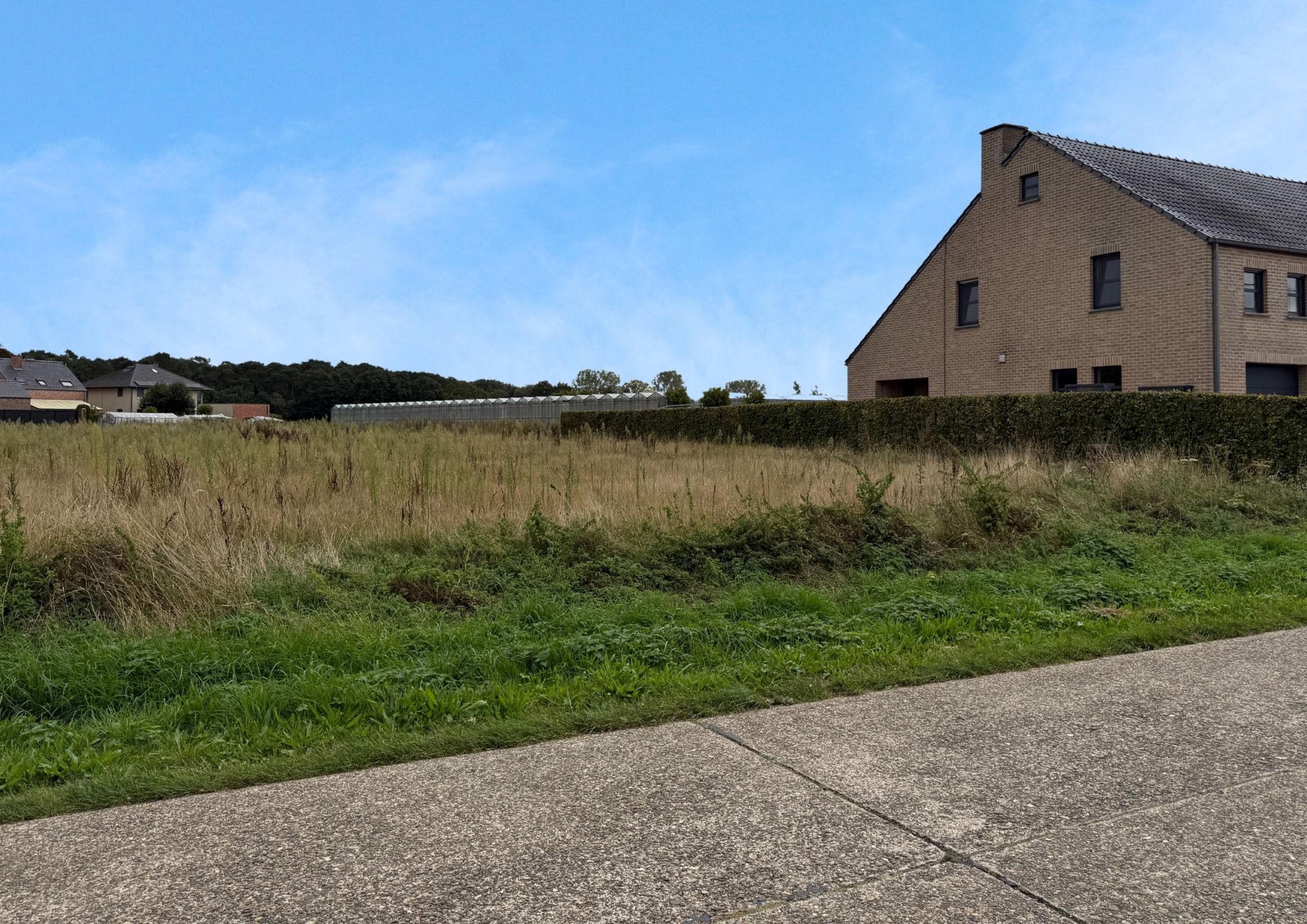 Bouwgrond voor open bebouwing te Herselt  foto 3