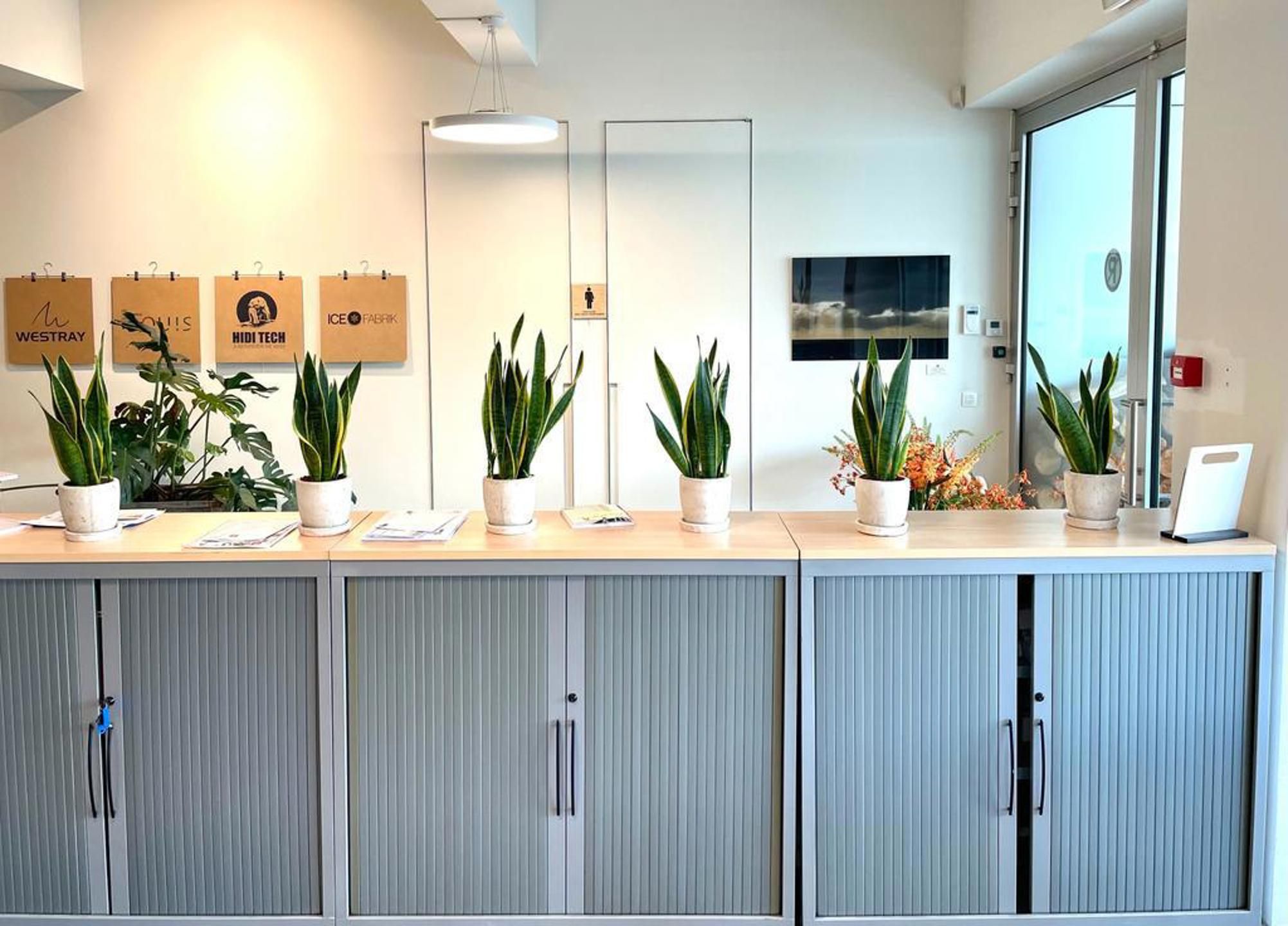 ANTWERPEN - Karakteristieke handelsruimte  foto 3